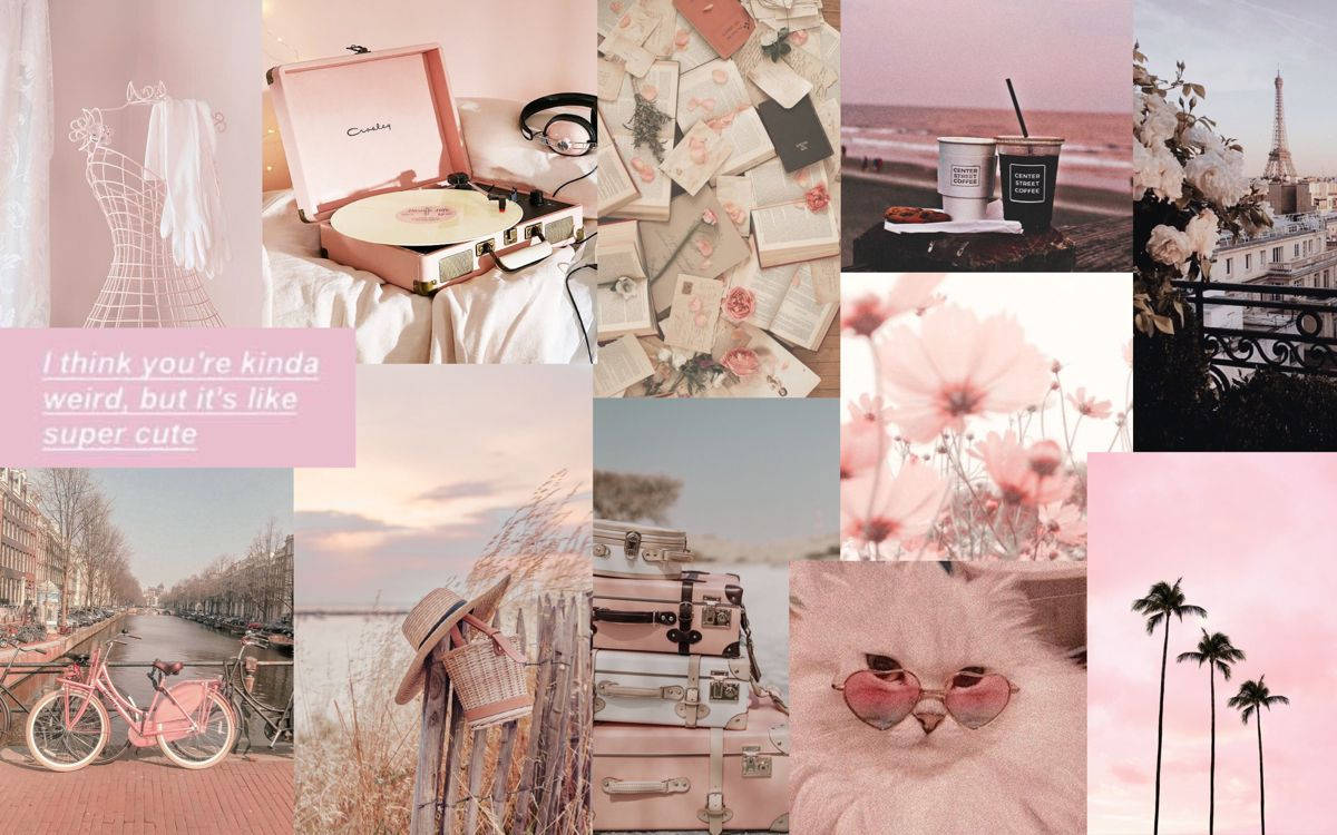 Sød pastel solnedgangs moodboard Wallpapers