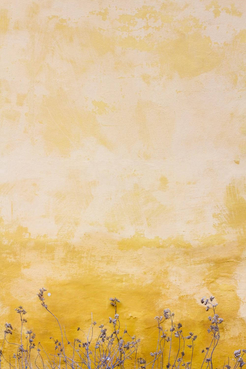 Sød pastelgul æstetik designet med tørrede blomster Wallpapers