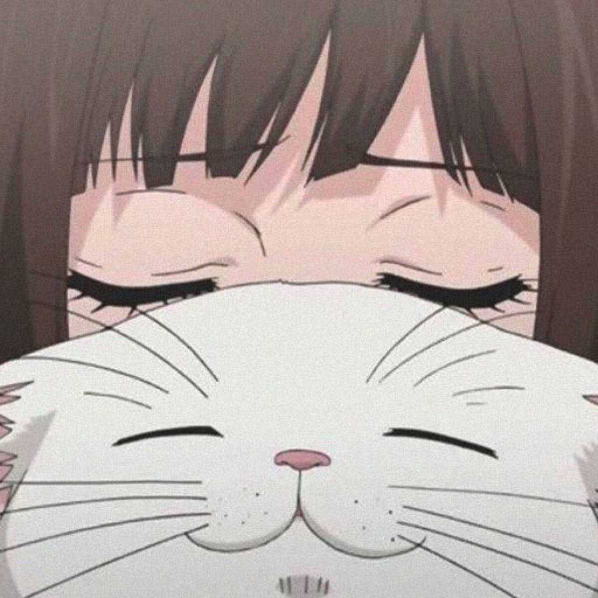 Sød PFP kat med animepige Wallpapers