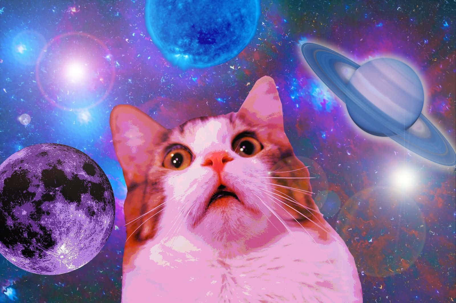 Sød sjov kat med chokeret ansigt og galakse baggrund Wallpapers