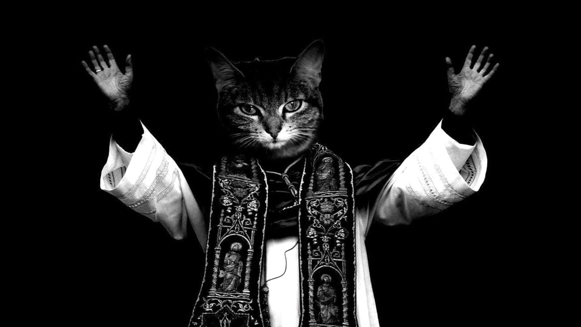 Sød sjov kat som hellig præst der løfter hænderne Wallpapers