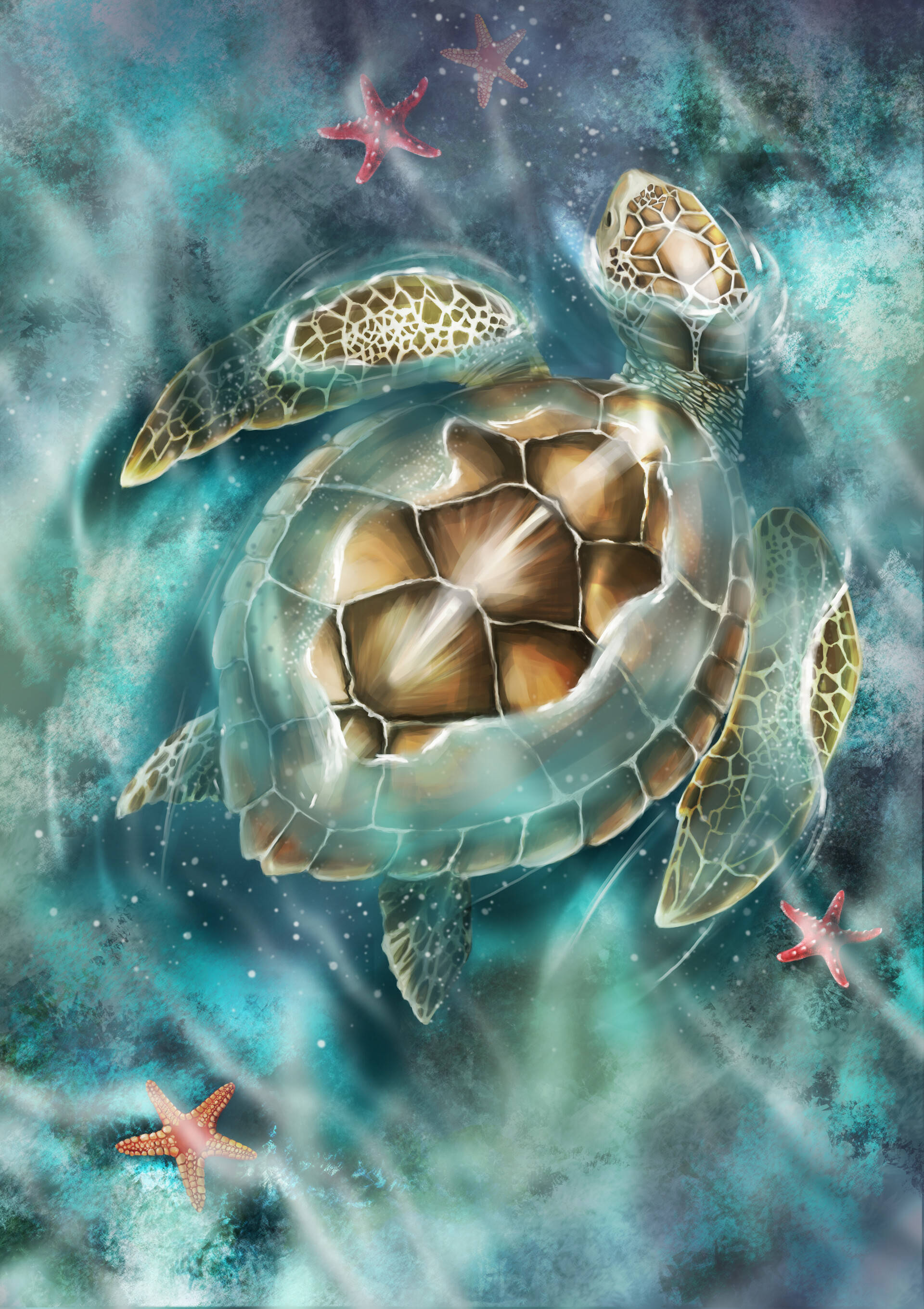 Sød skildpadde i vand Wallpapers
