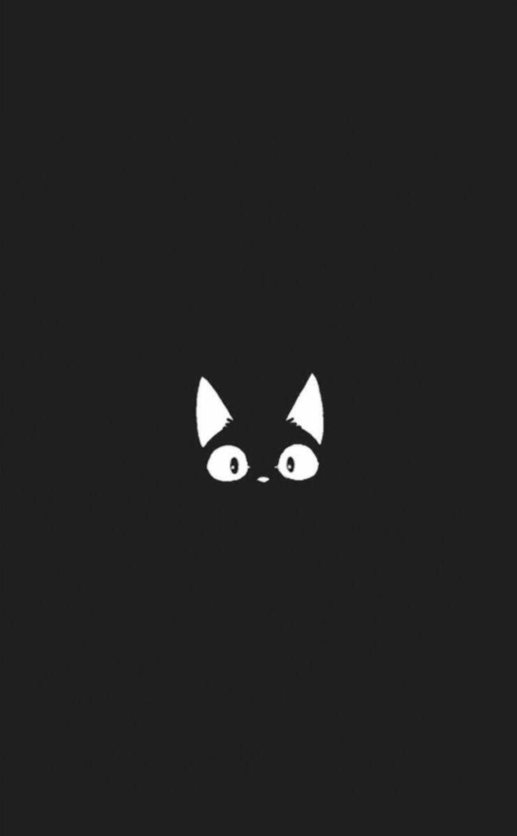 Sød sort/hvid æstetisk anime kat Wallpapers