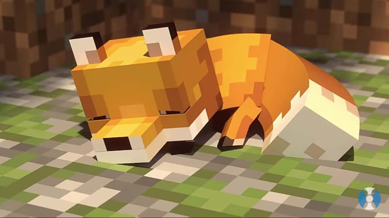 Sød sovende Minecraft-ræv Wallpapers