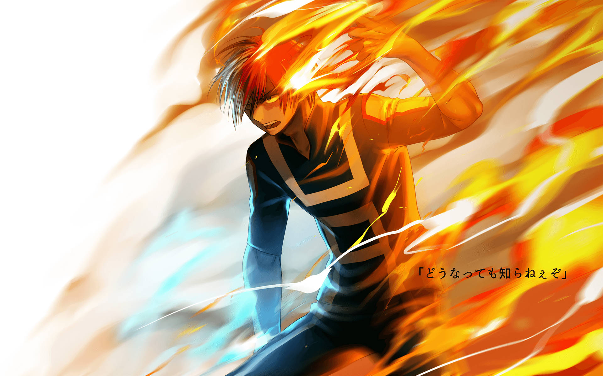 Sød Todoroki - Plakat i Hvid Wallpapers
