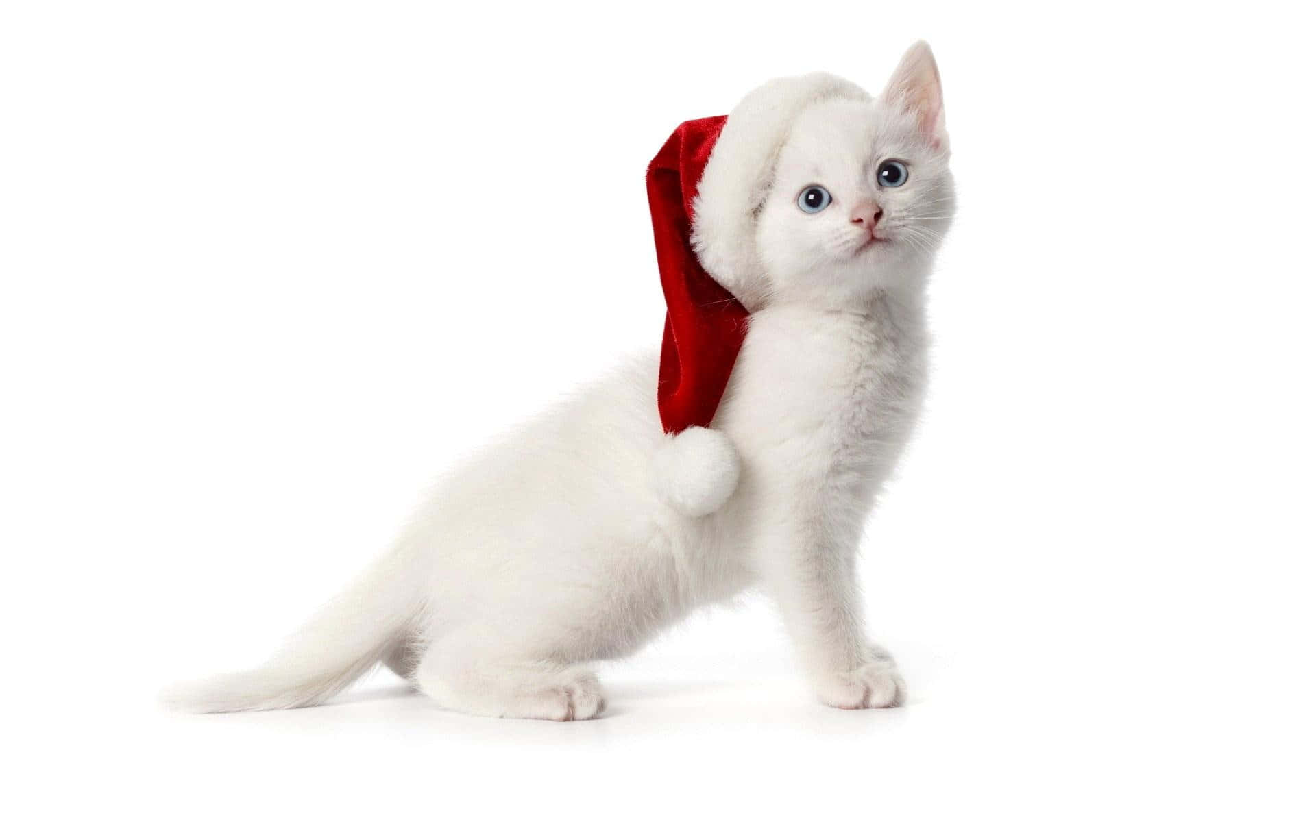 Søde æstetiske julebilleder Wallpapers