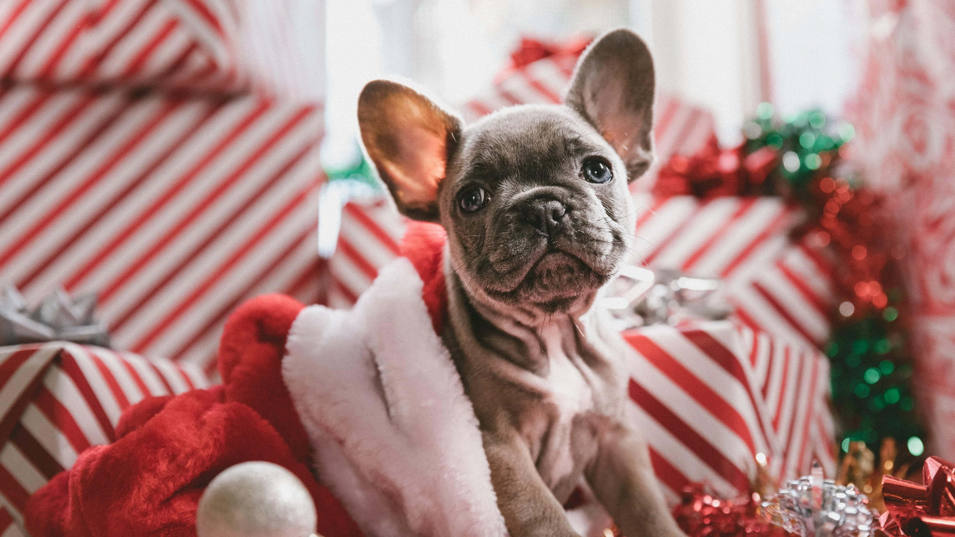 Søde æstetiske julebilleder Wallpapers