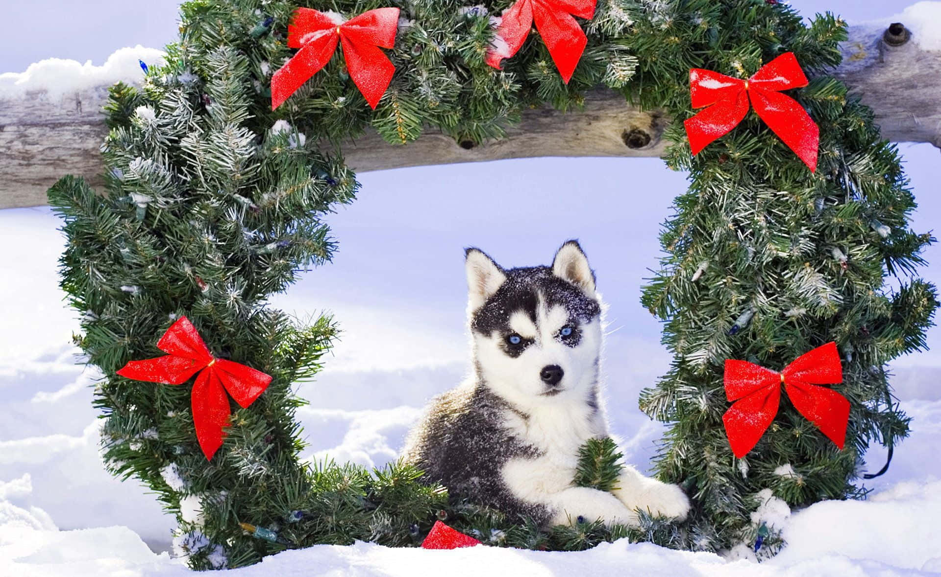 Søde æstetiske julebilleder Wallpapers