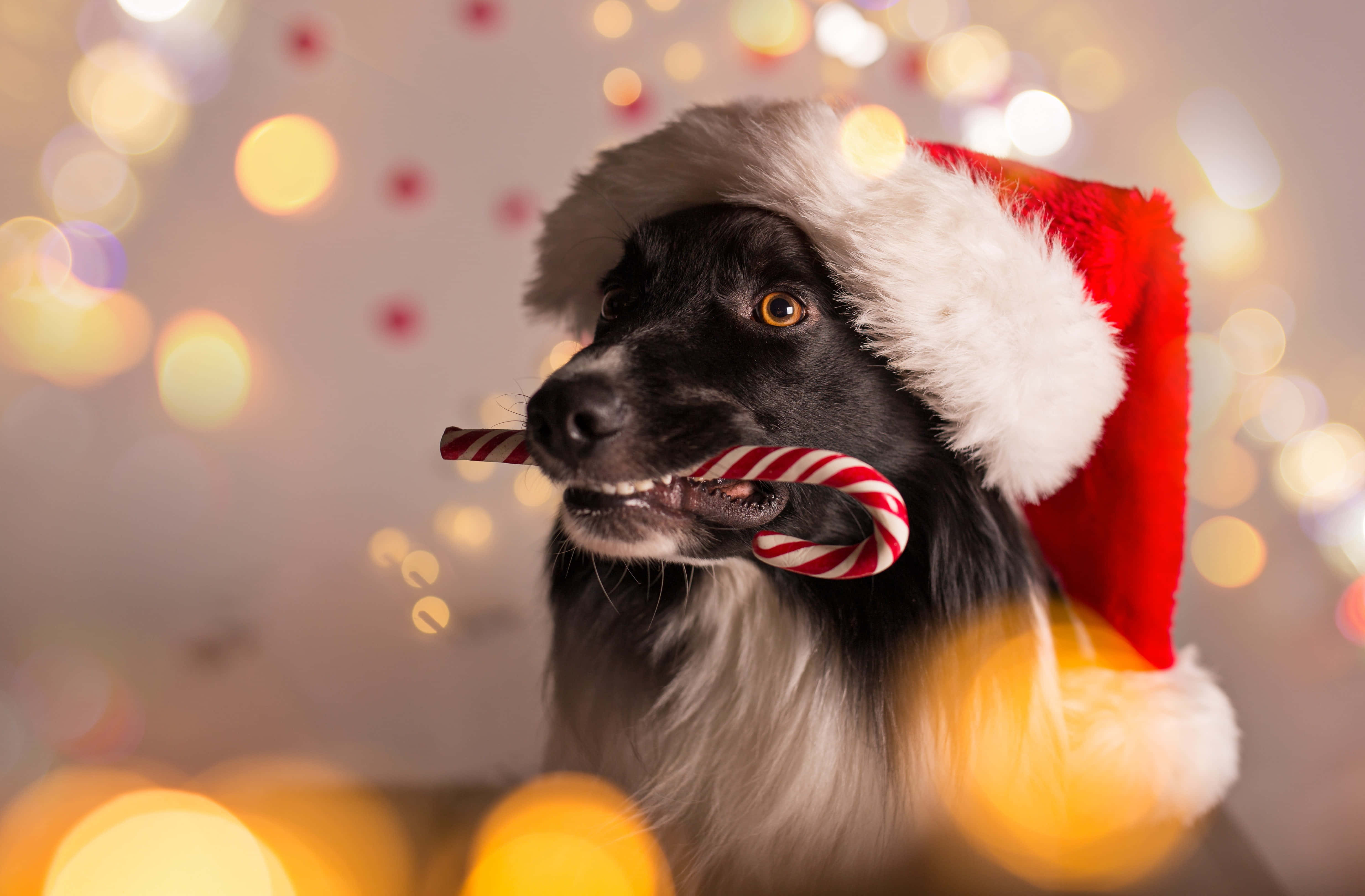 Søde æstetiske julebilleder Wallpapers