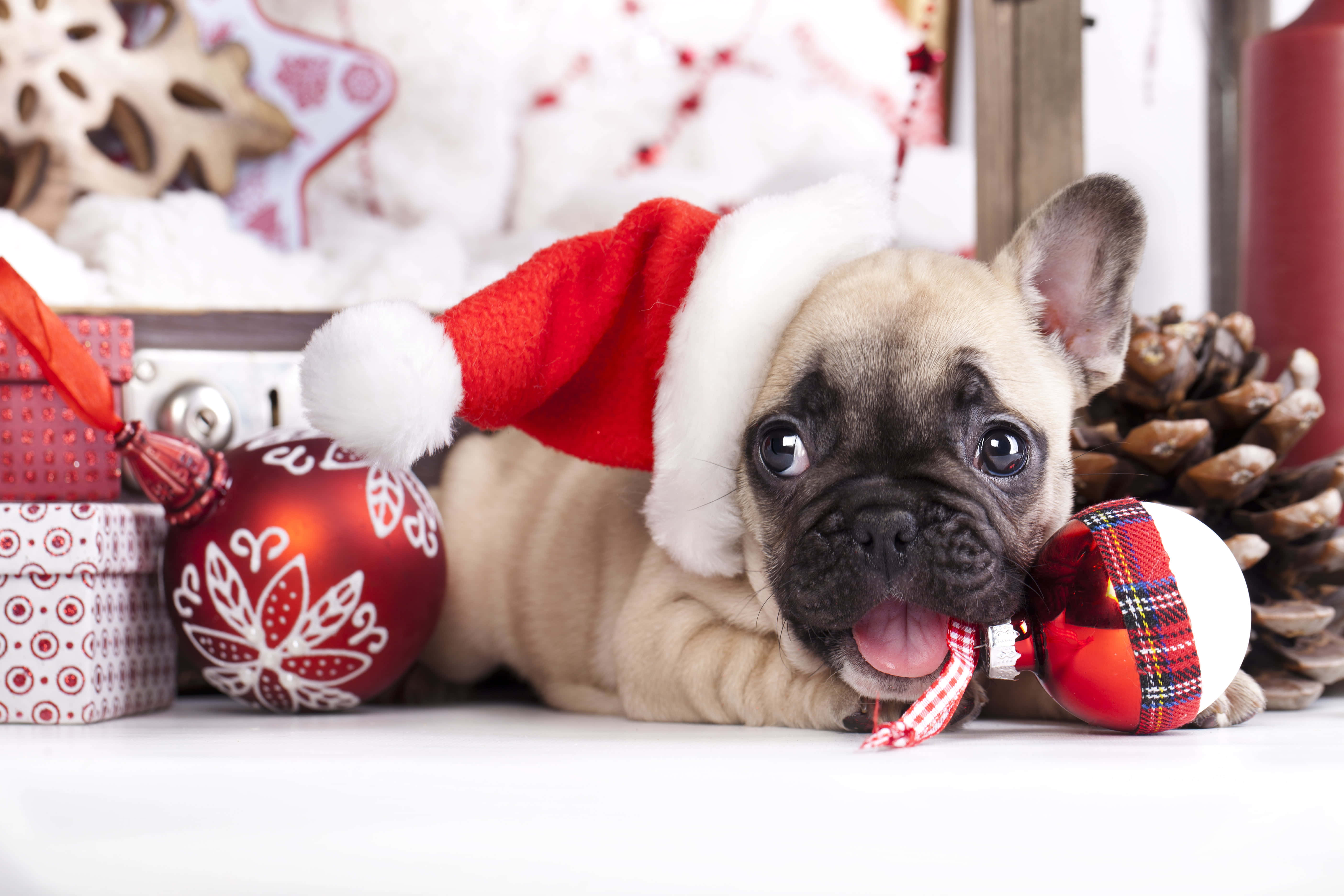 Søde æstetiske julebilleder Wallpapers