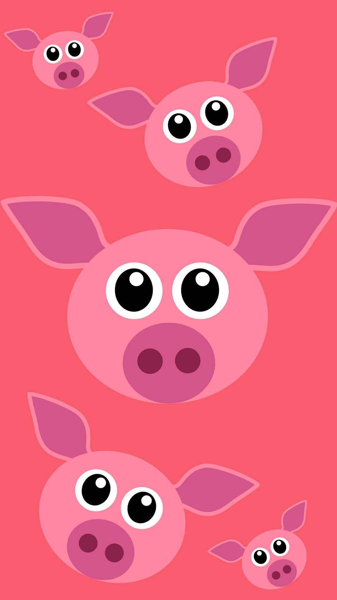 Søde griseansigter Wallpapers