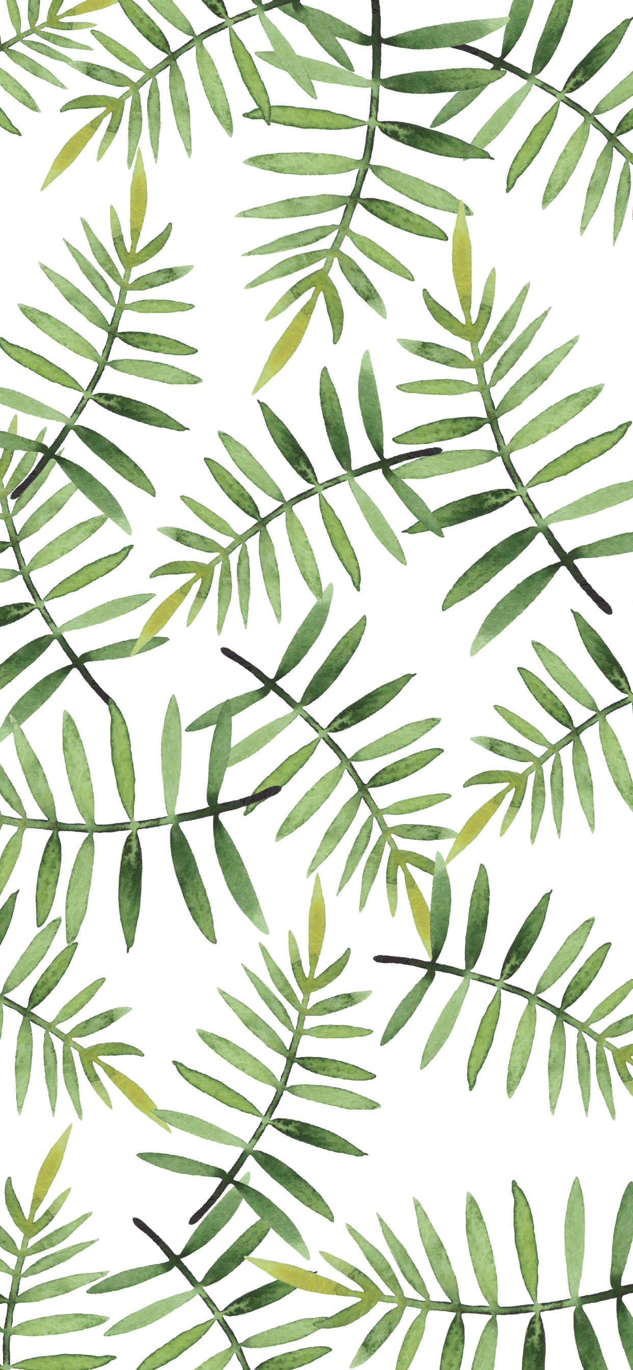 Søde grønne palme-bregneblade Wallpapers