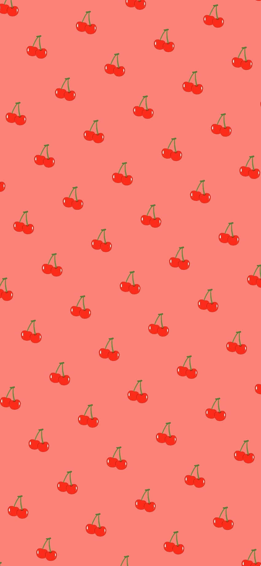 Søde kirsebær med skinnende rød overflade Wallpapers