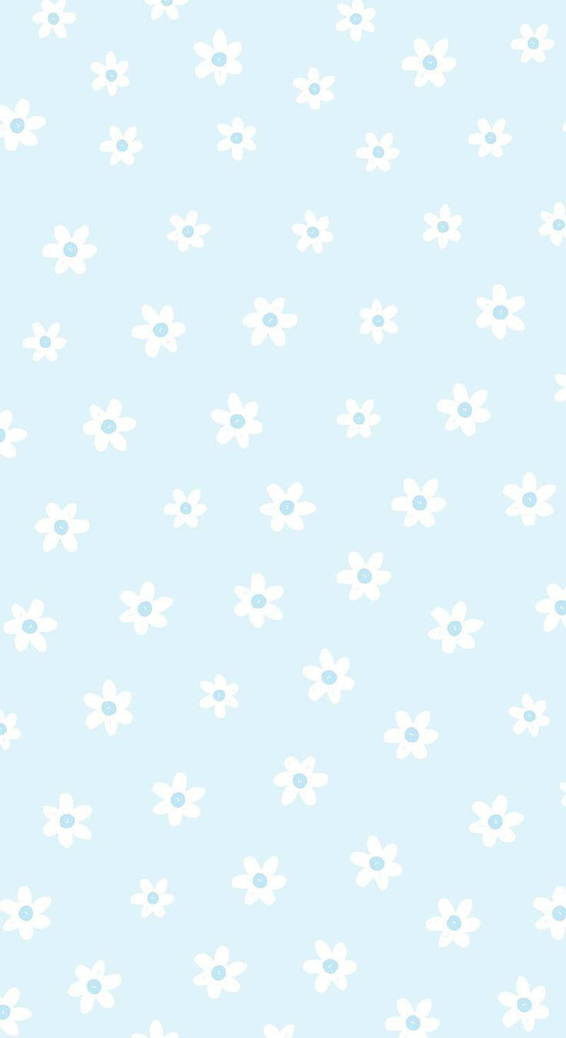 Søde pastelblå æstetiske hvide blomster Wallpapers