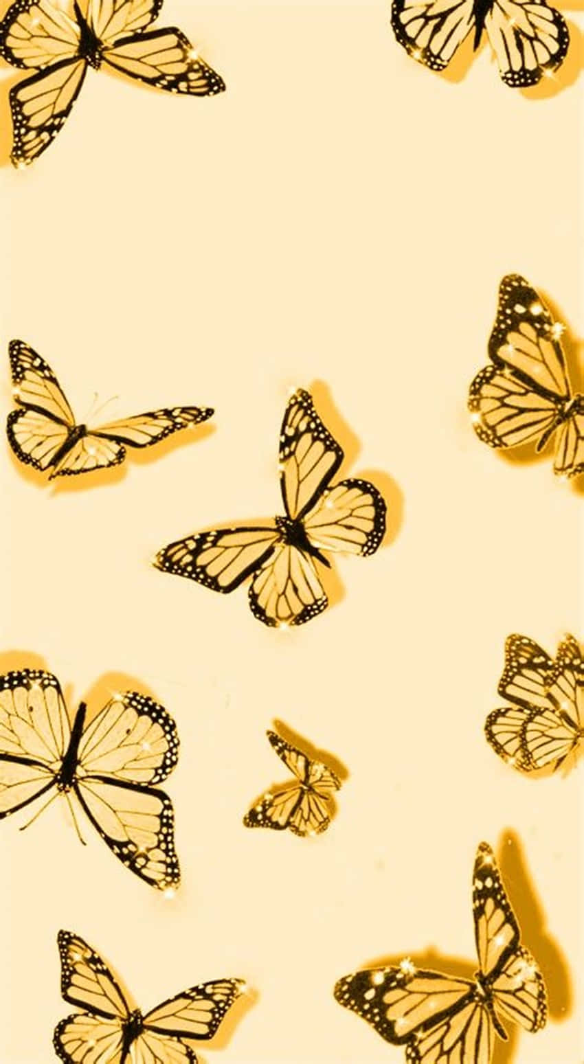 Søde sorte gule sommerfugle Wallpapers