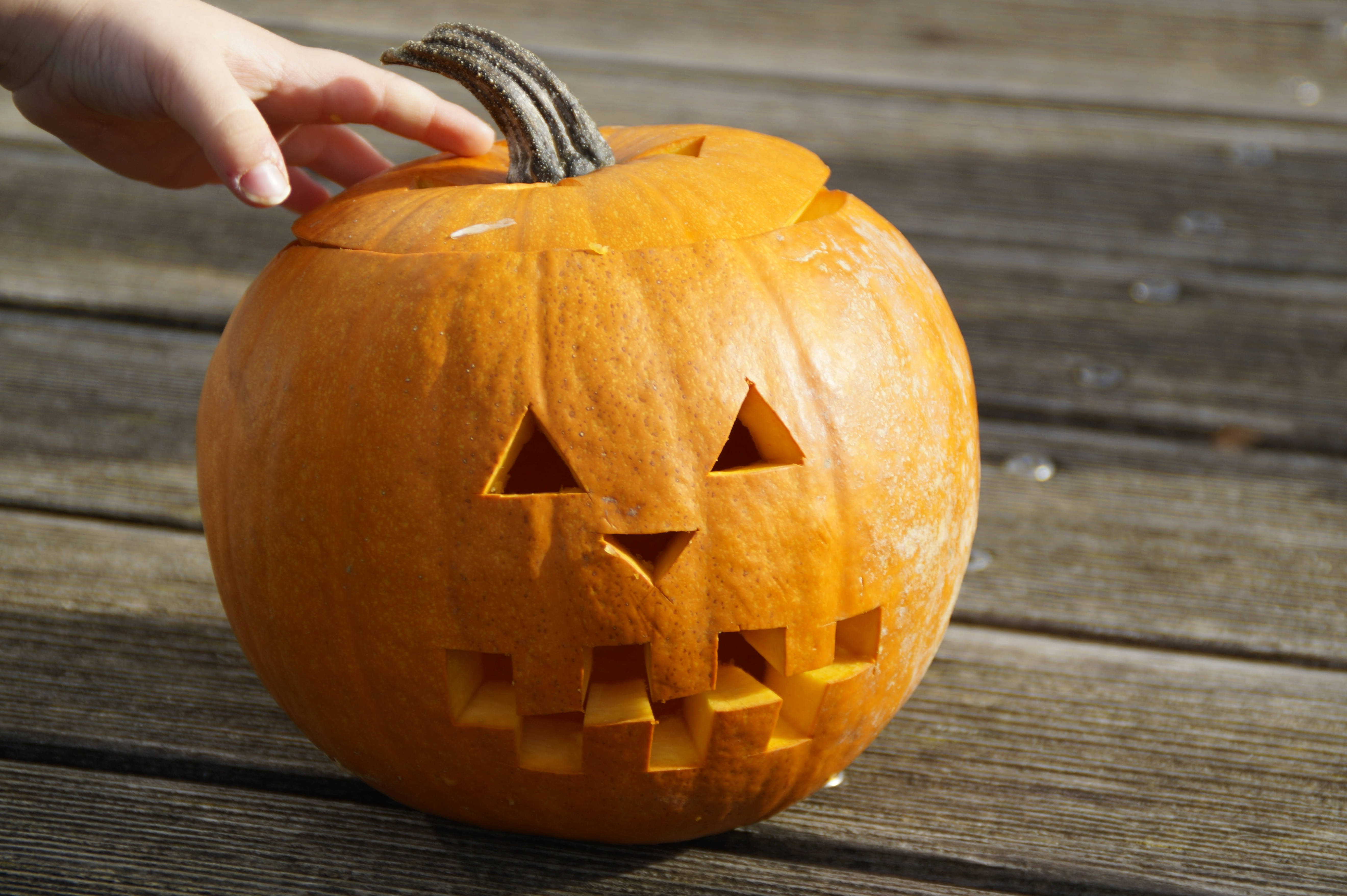 Sødt Halloween-græskar med berøring Wallpapers