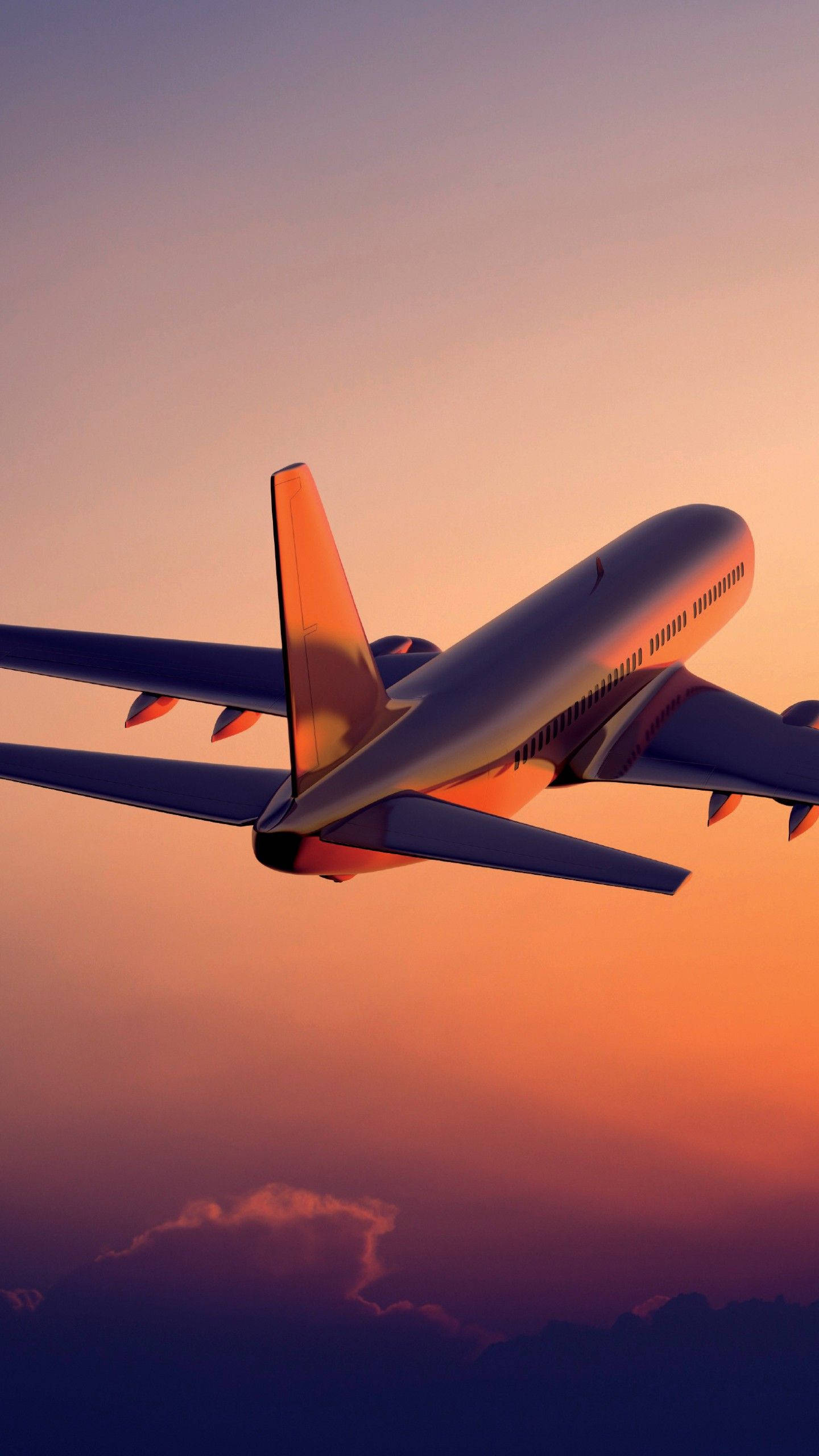 Solnedgang med stigende hvidt fly Android Wallpapers