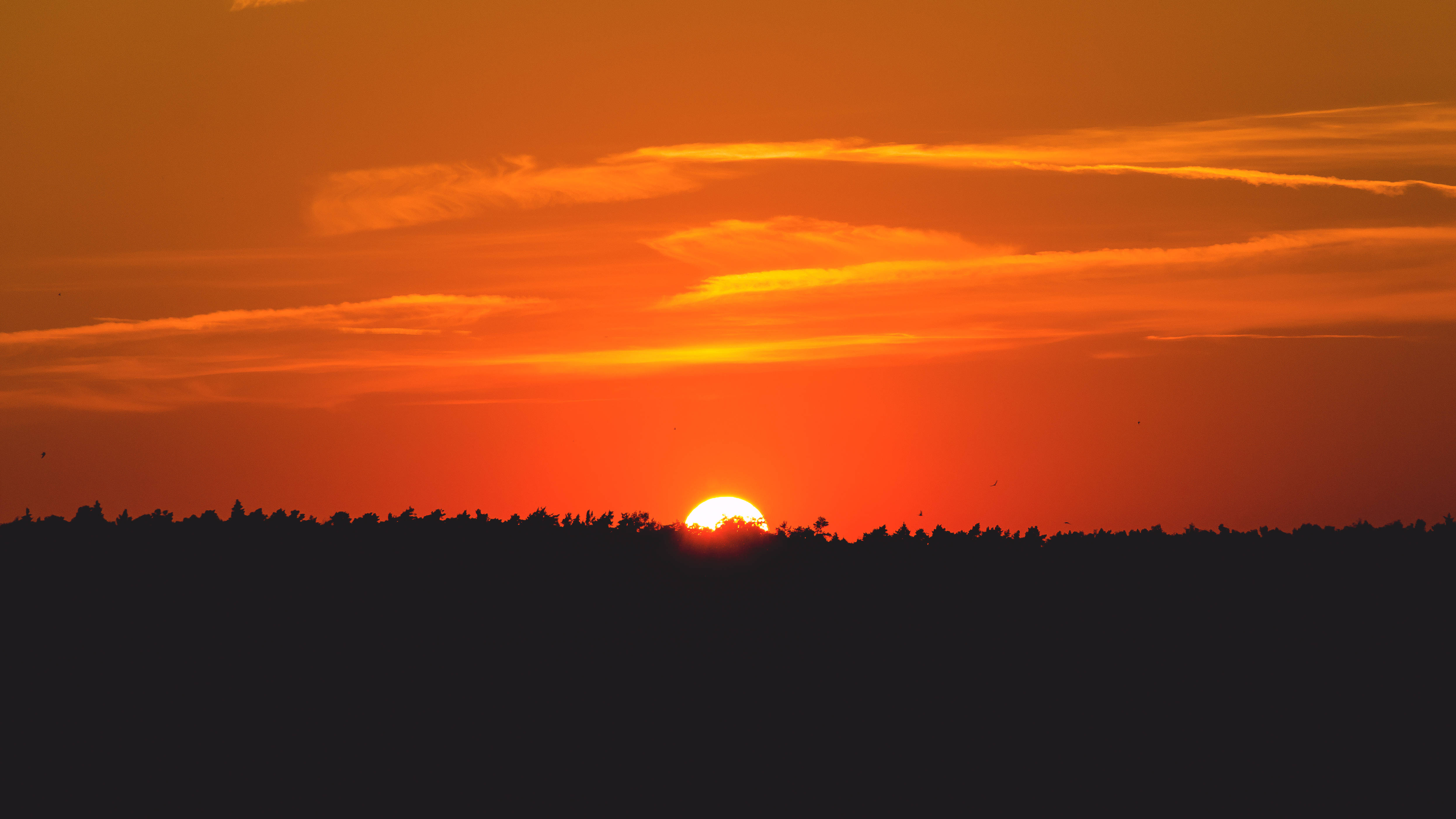 Solnedgang over sletterne Wallpapers