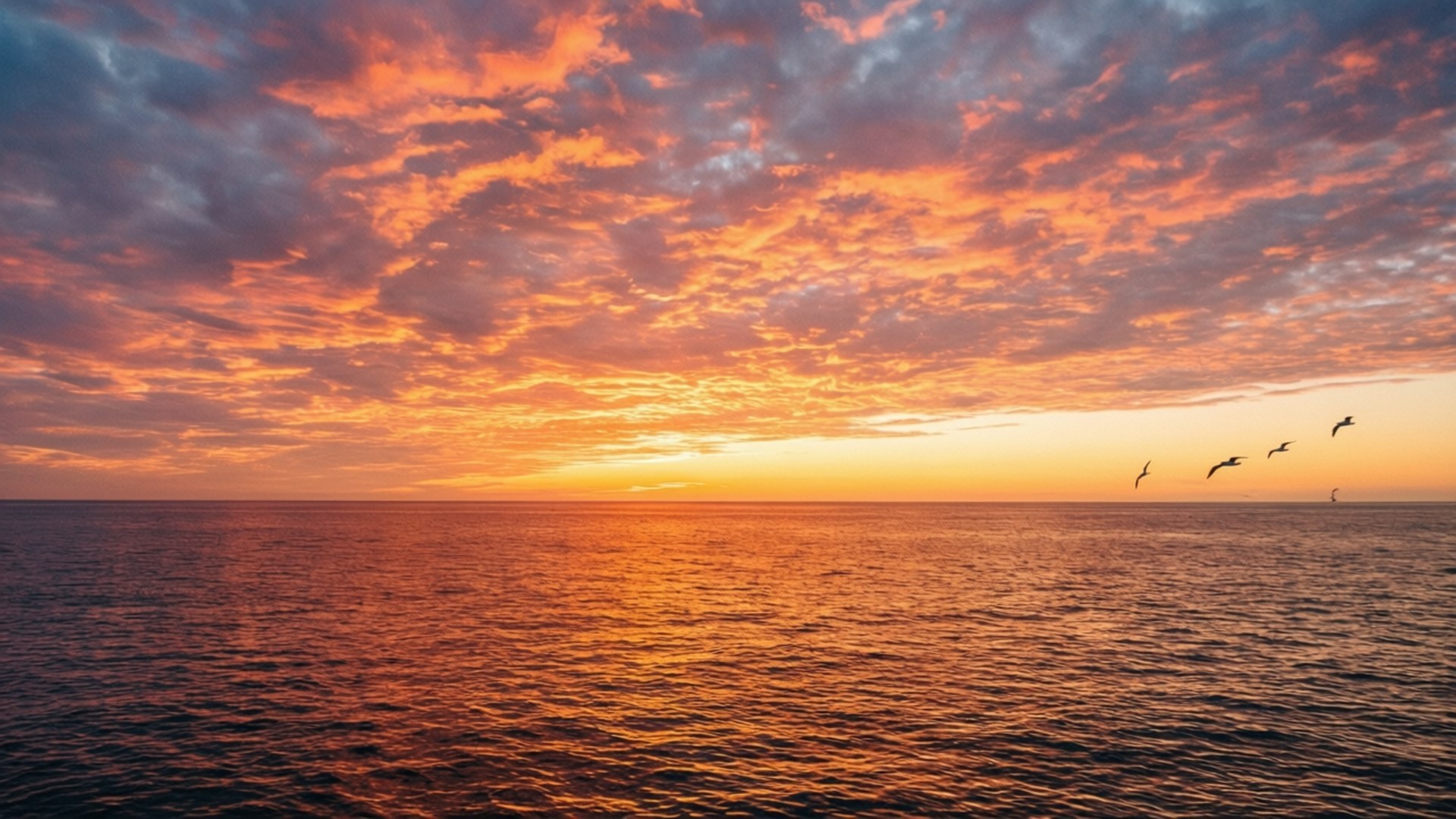 Solnedgang over hav og himmel Wallpapers