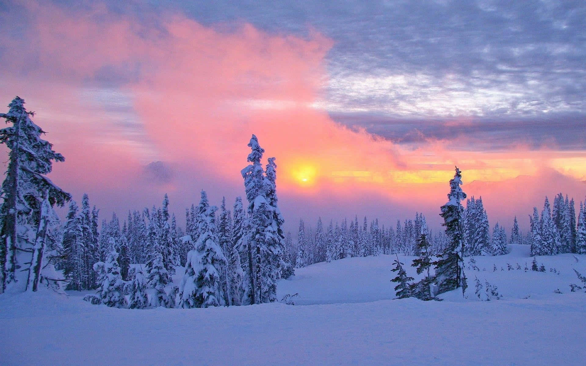 Solnedgang over vinterlandskab Wallpapers