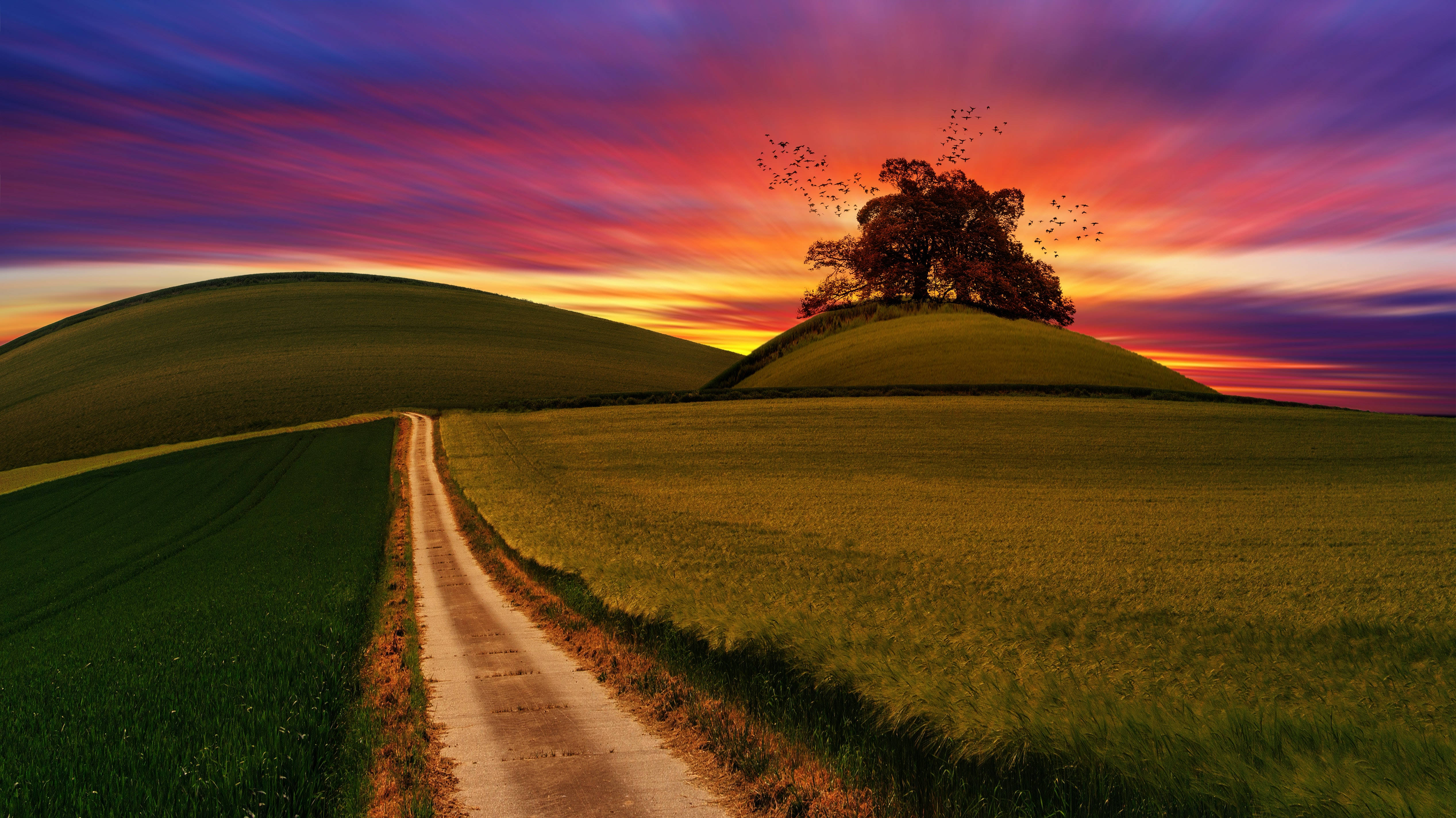 Solnedgang på bakketop til computerlåseskærm Wallpapers