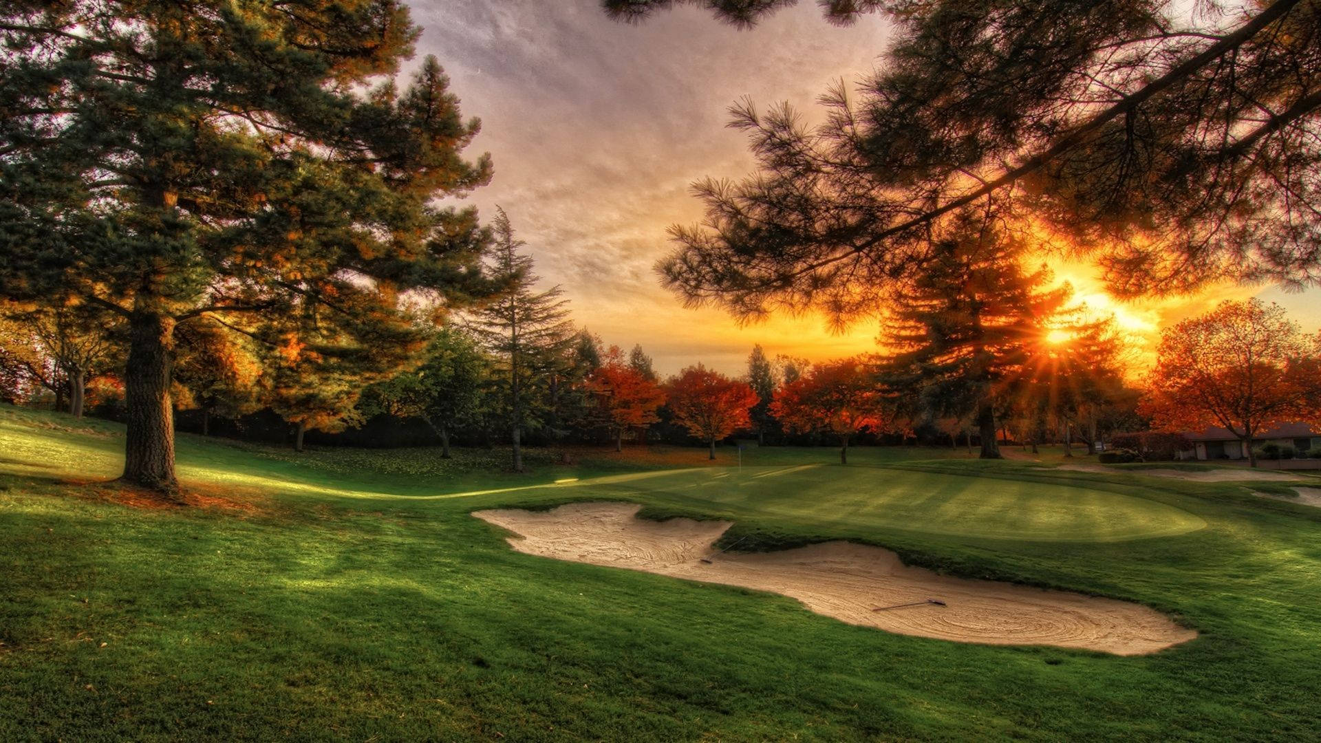 Solnedgang på golfbanen Wallpapers