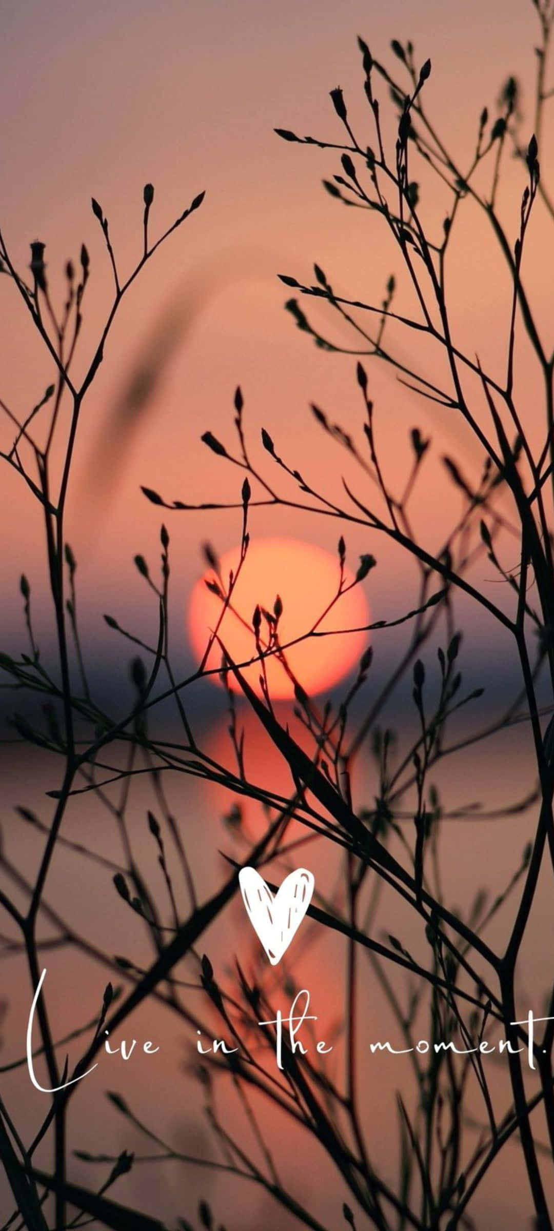 Solnedgangssilhuet Inspiration Wallpapers