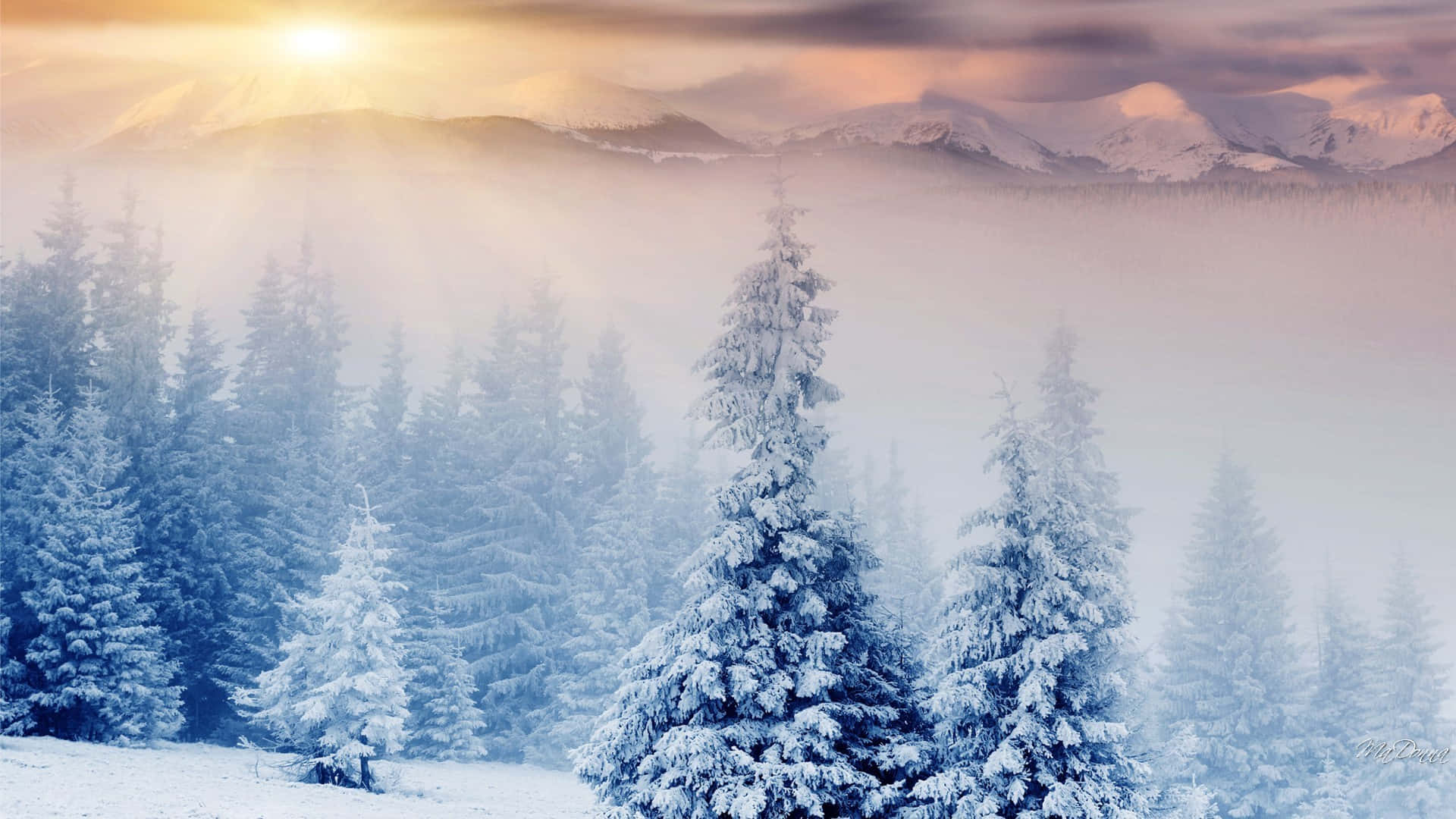 Solopgang over Vintereventyrland Baggrund Wallpapers