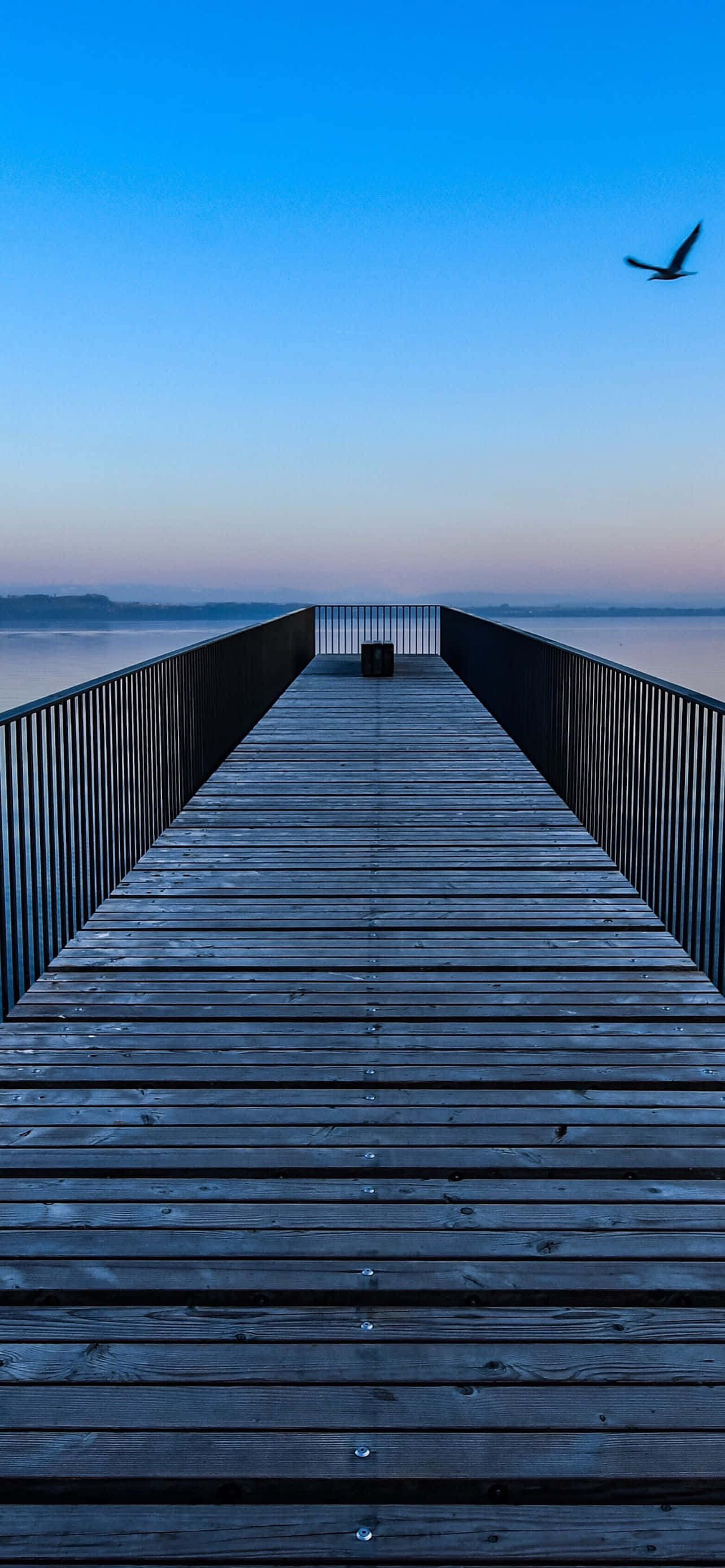 Solrig strandudsigt med palmetræer og hvidt sand Wallpapers