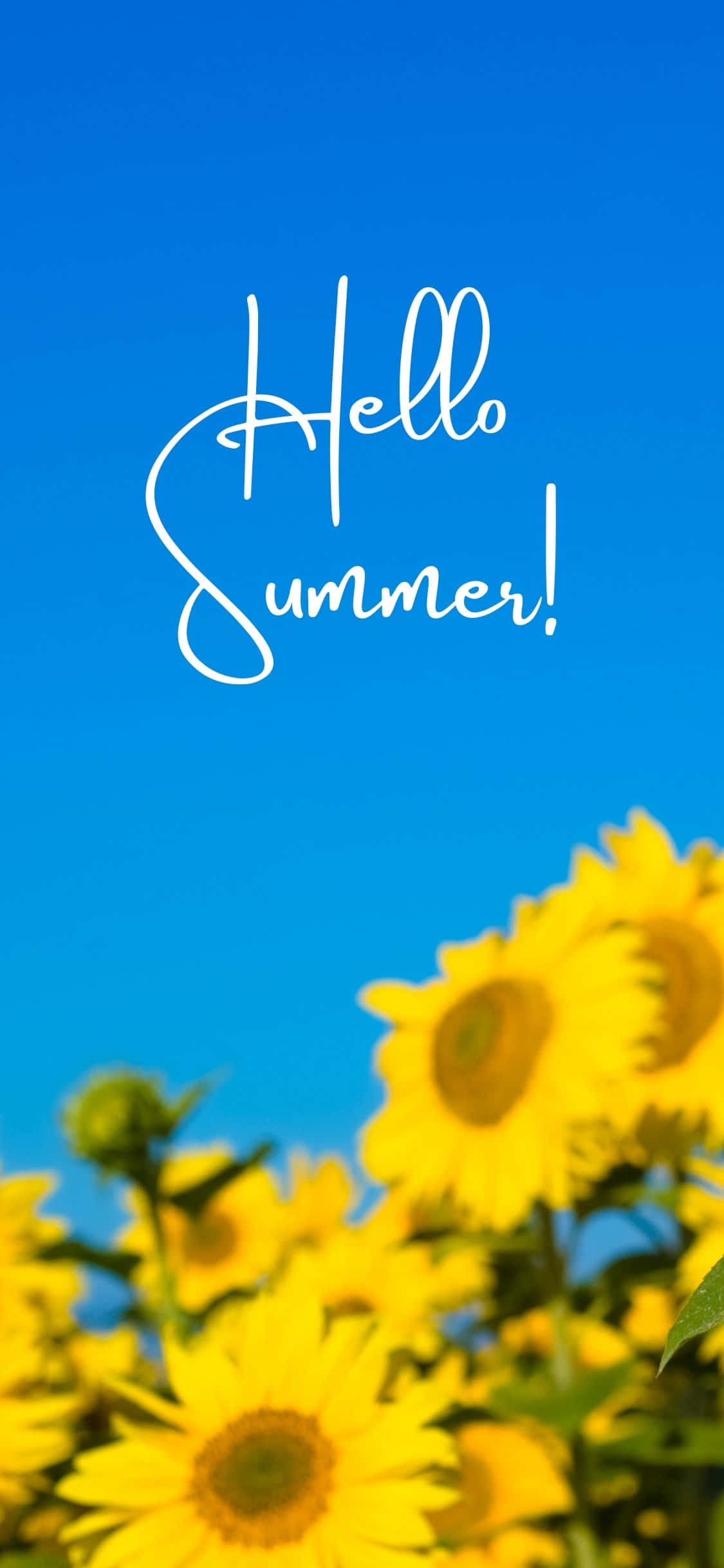Solsikker iPhone X sommerbaggrund Wallpapers