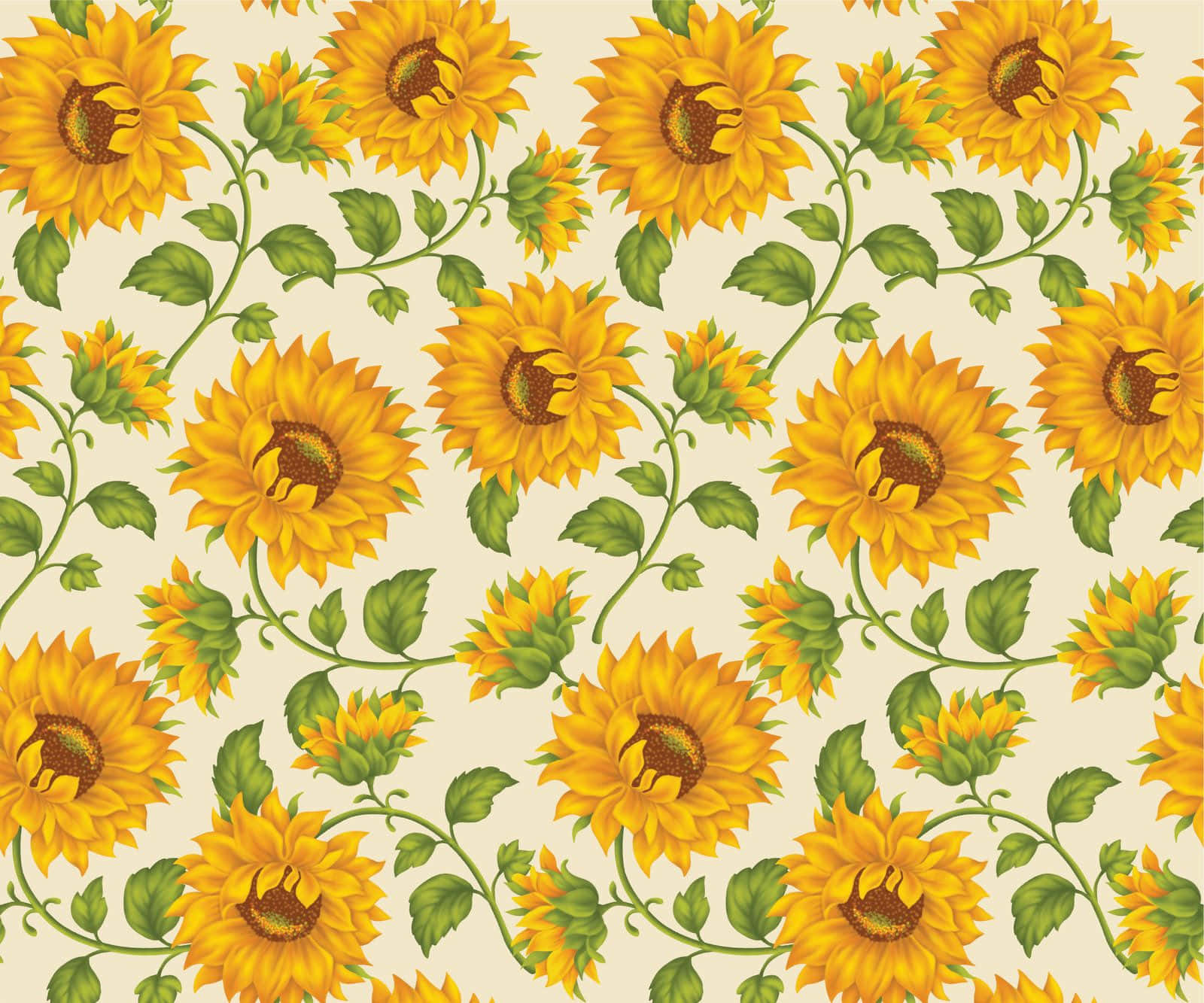 Solsortebaggrund Wallpapers