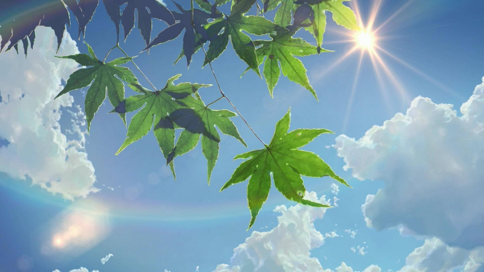 Sommeræstetik Sol og Himmel Wallpapers