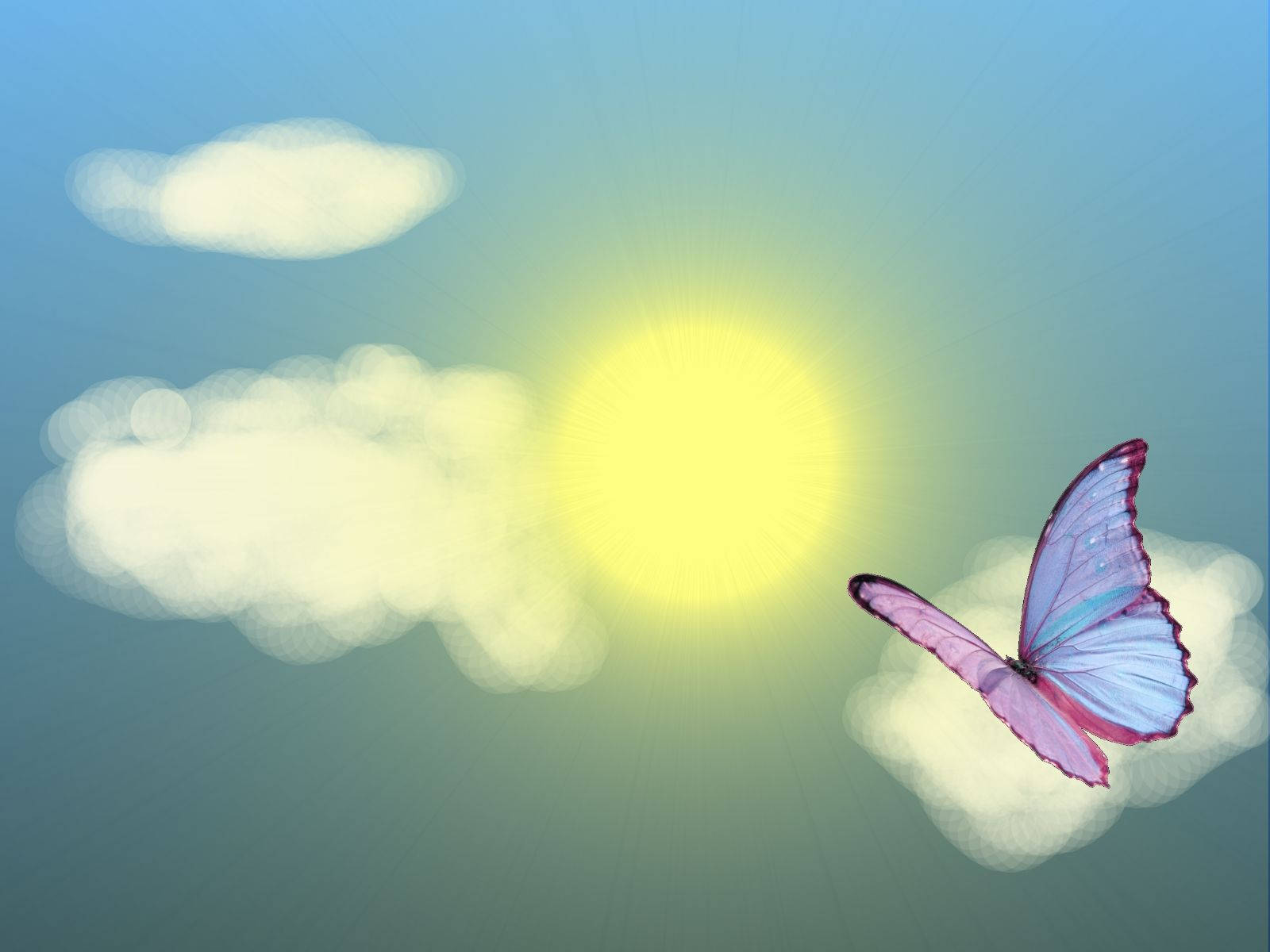 Sommeræstetisk svævende sommerfugl Wallpapers