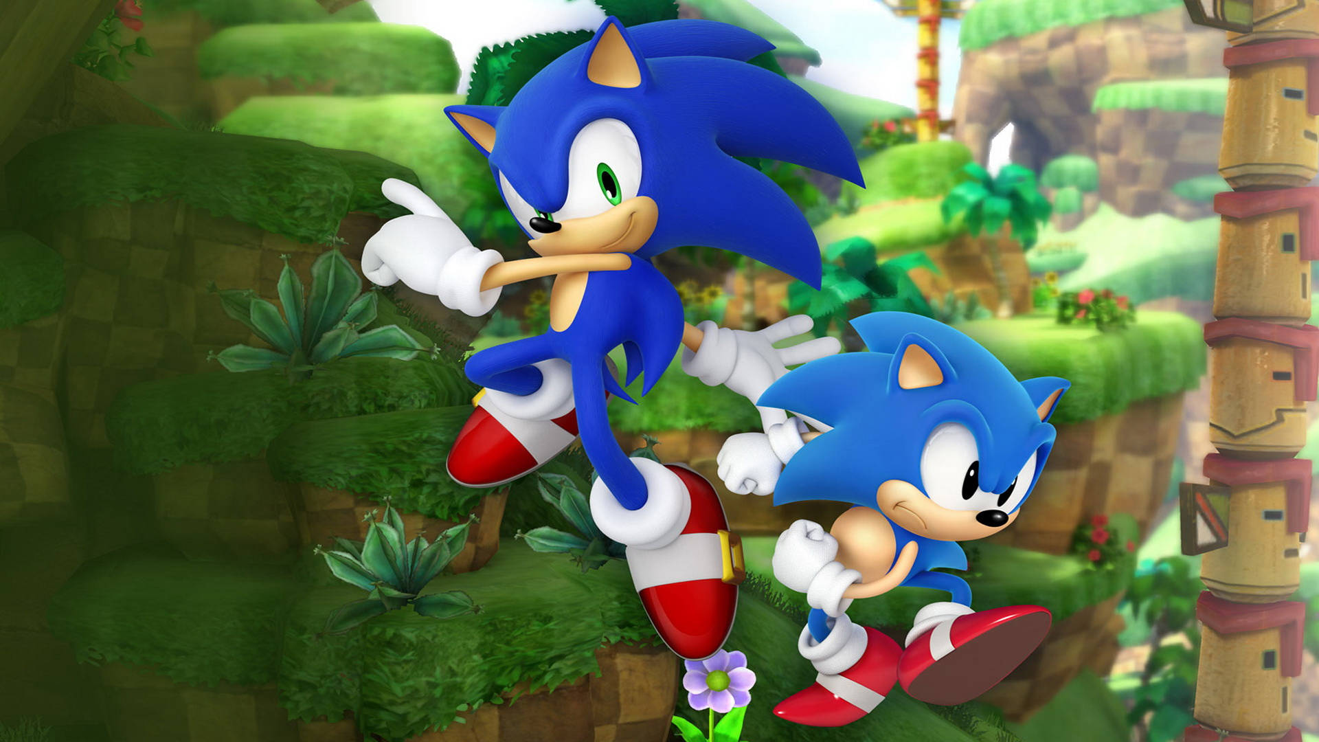 Sonic the Hedgehog og Sonic the Hedgehog løber i græsset Wallpapers