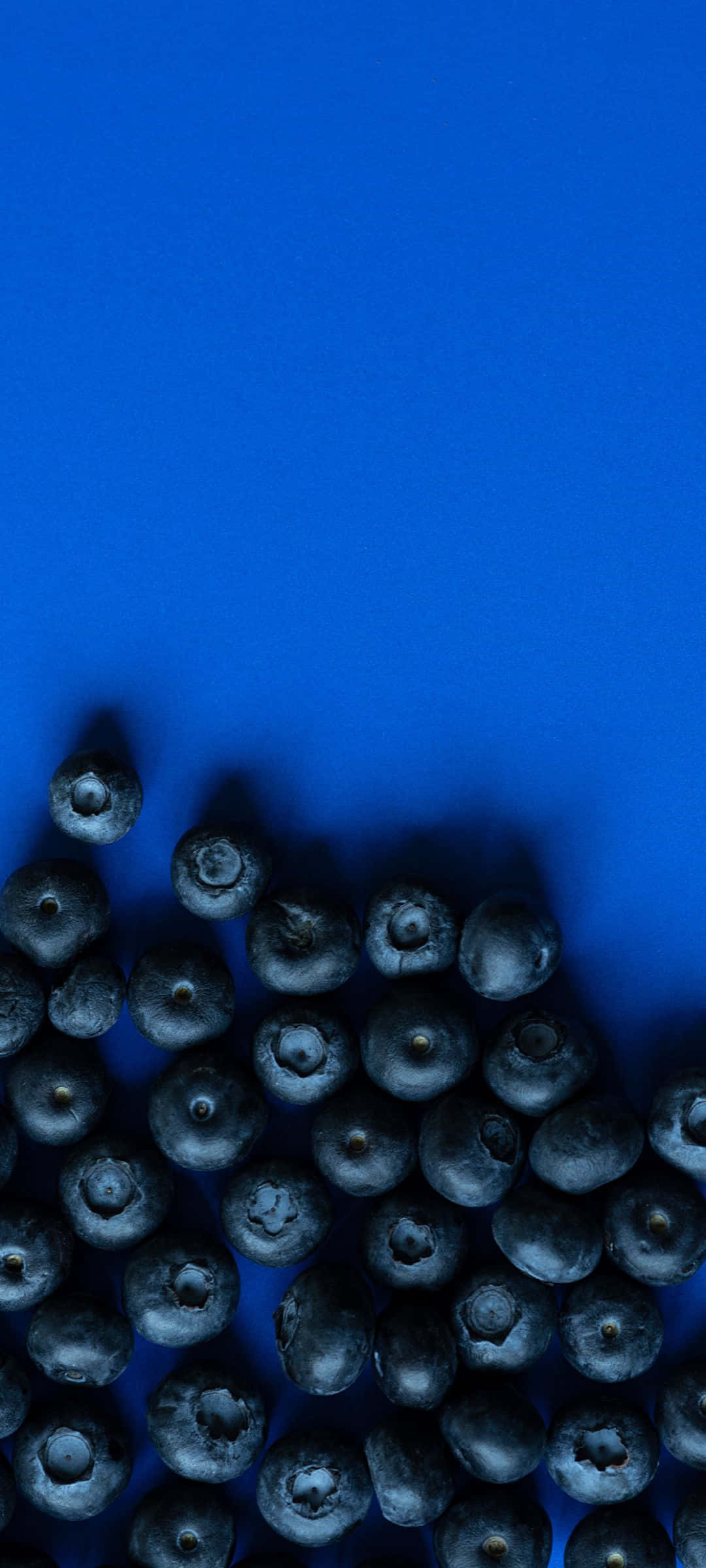 Sort/hvidt billede af en kreativ og abstrakt illustration Wallpapers