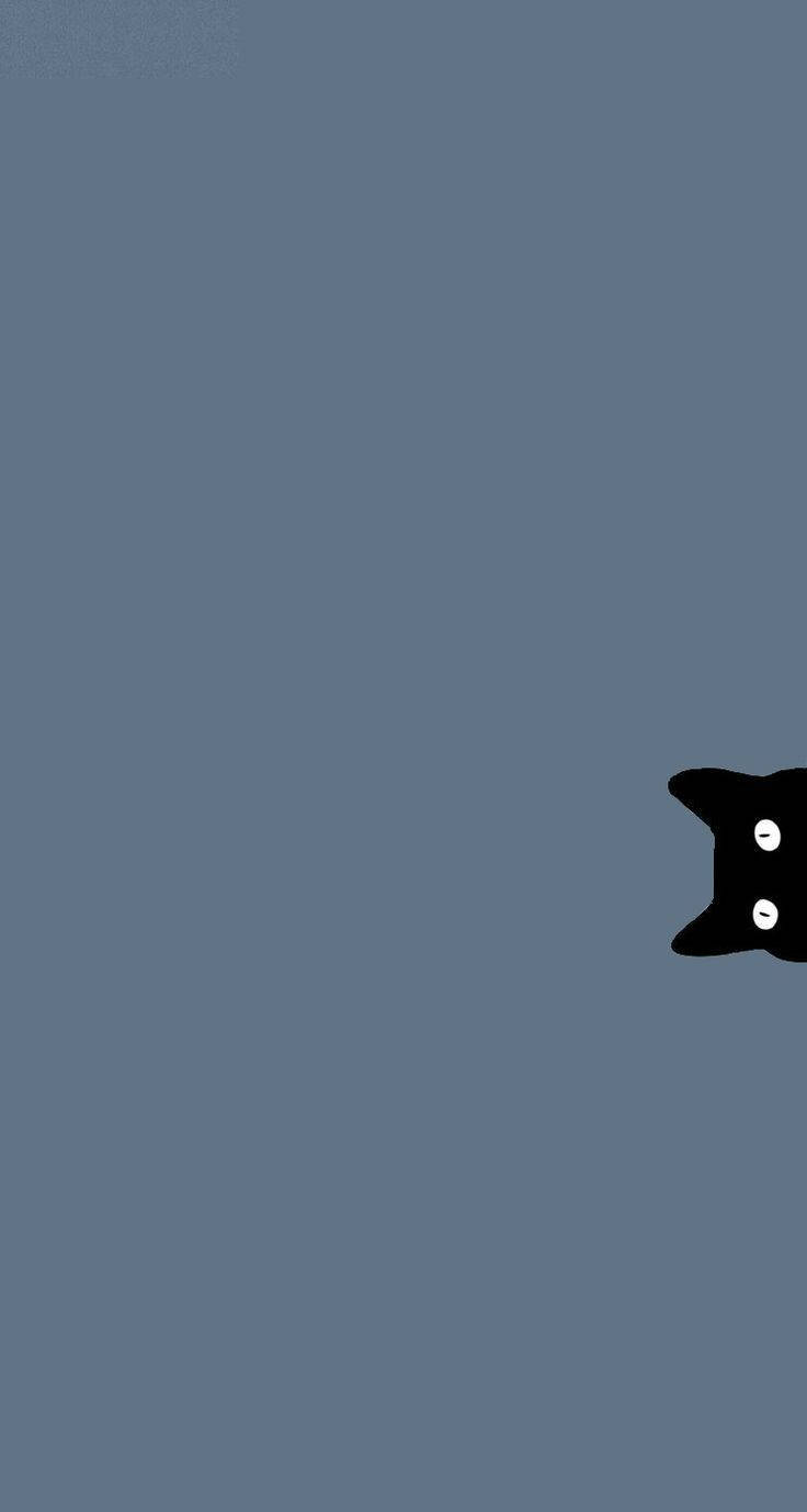 Sort kat kigger frem enkel æstetik Wallpapers
