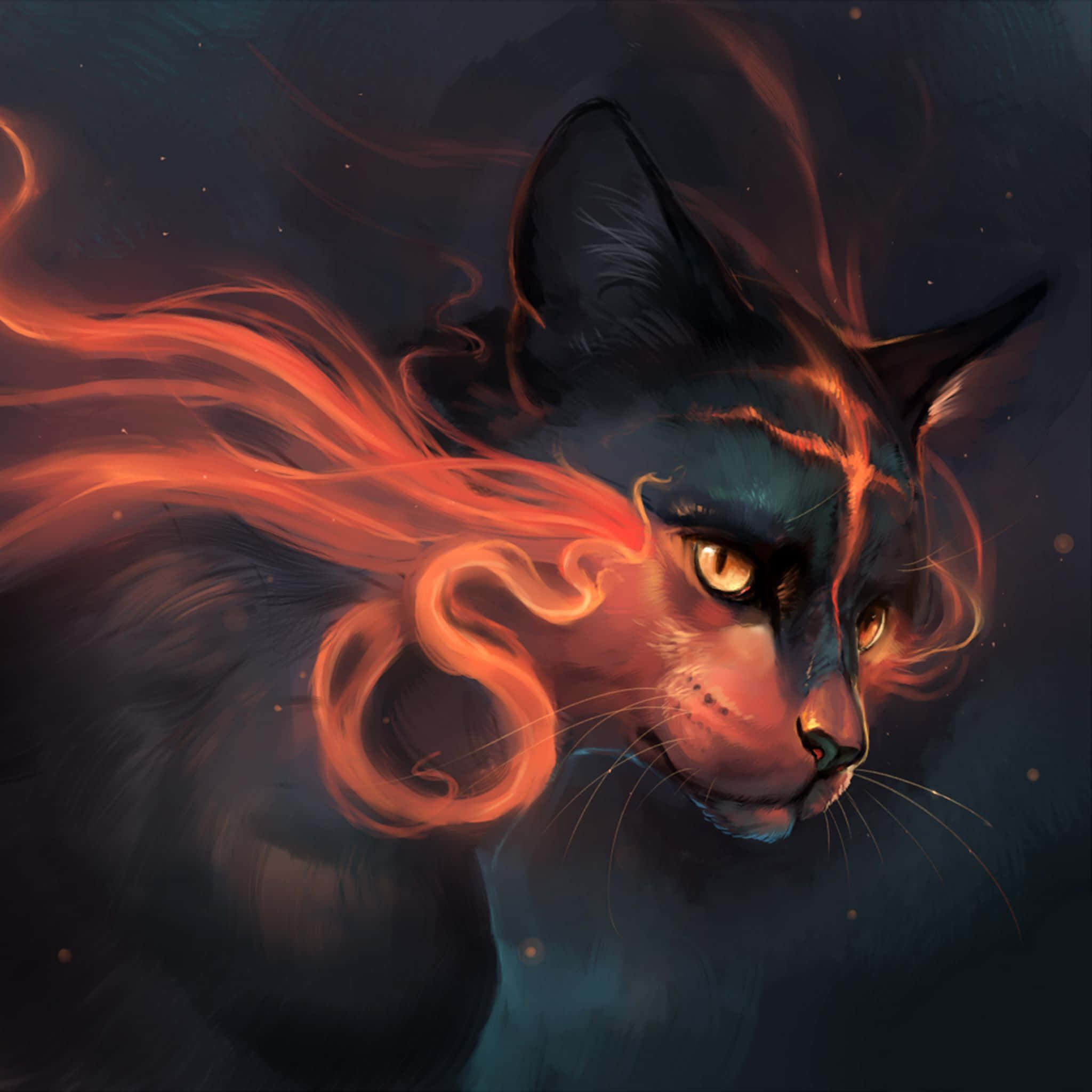 “Sort kat om natten” Wallpapers