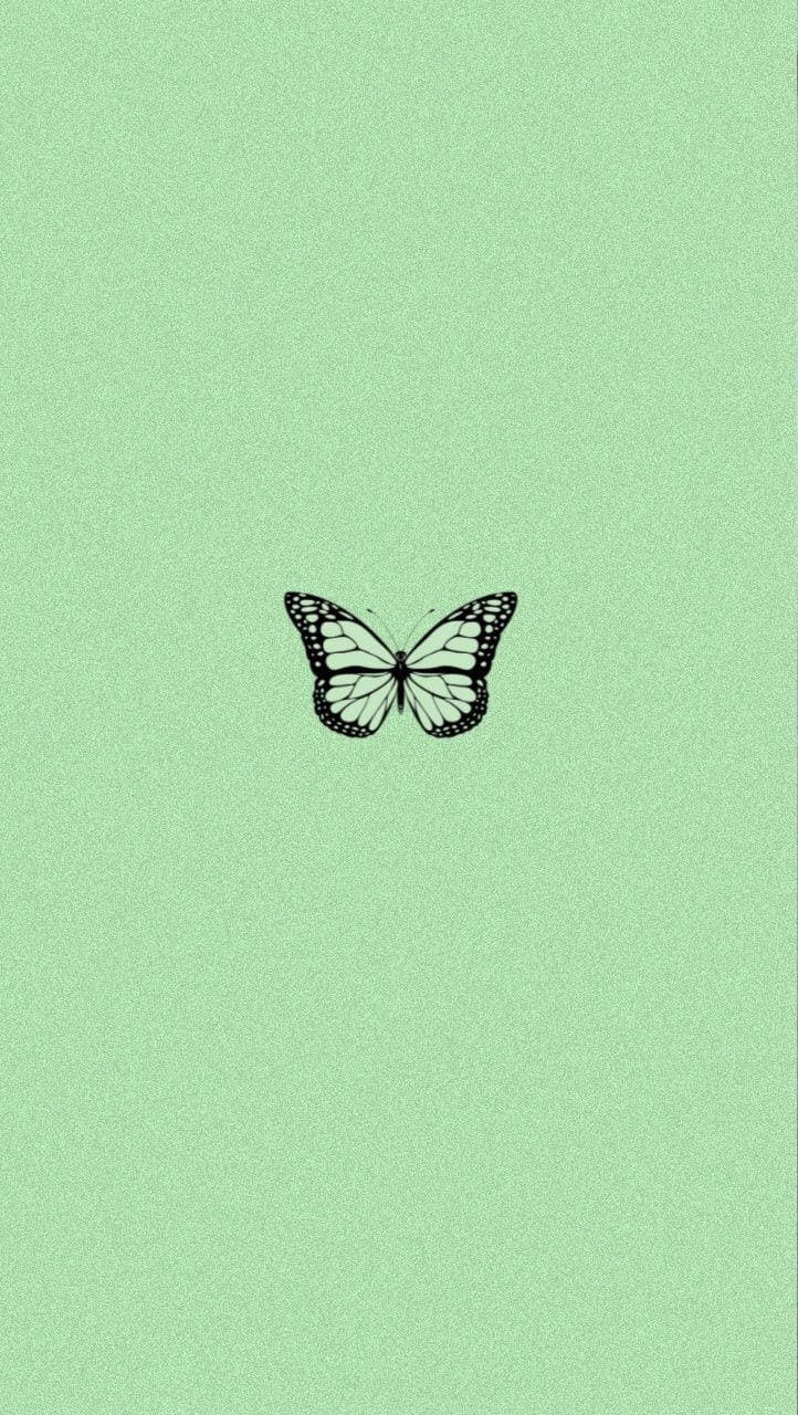Sort og grøn sommerfuglebaggrund Wallpapers