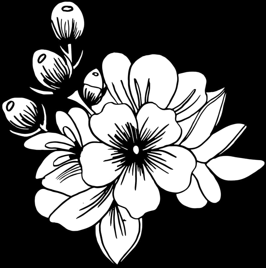 Sort og hvid blomsterillustration Wallpapers