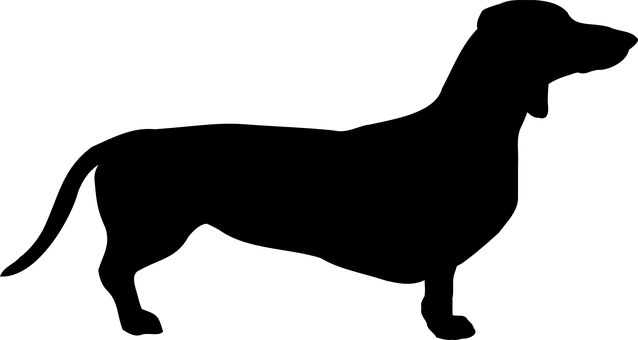 Sort skærm intet indhold relateret til hunde Wallpapers