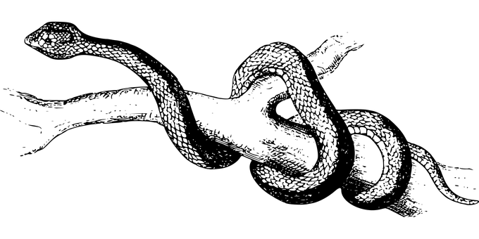 Sort skærm pladsholder Wallpapers