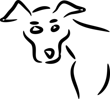Sort Skærm Uden Indhold Hund Relateret Wallpapers