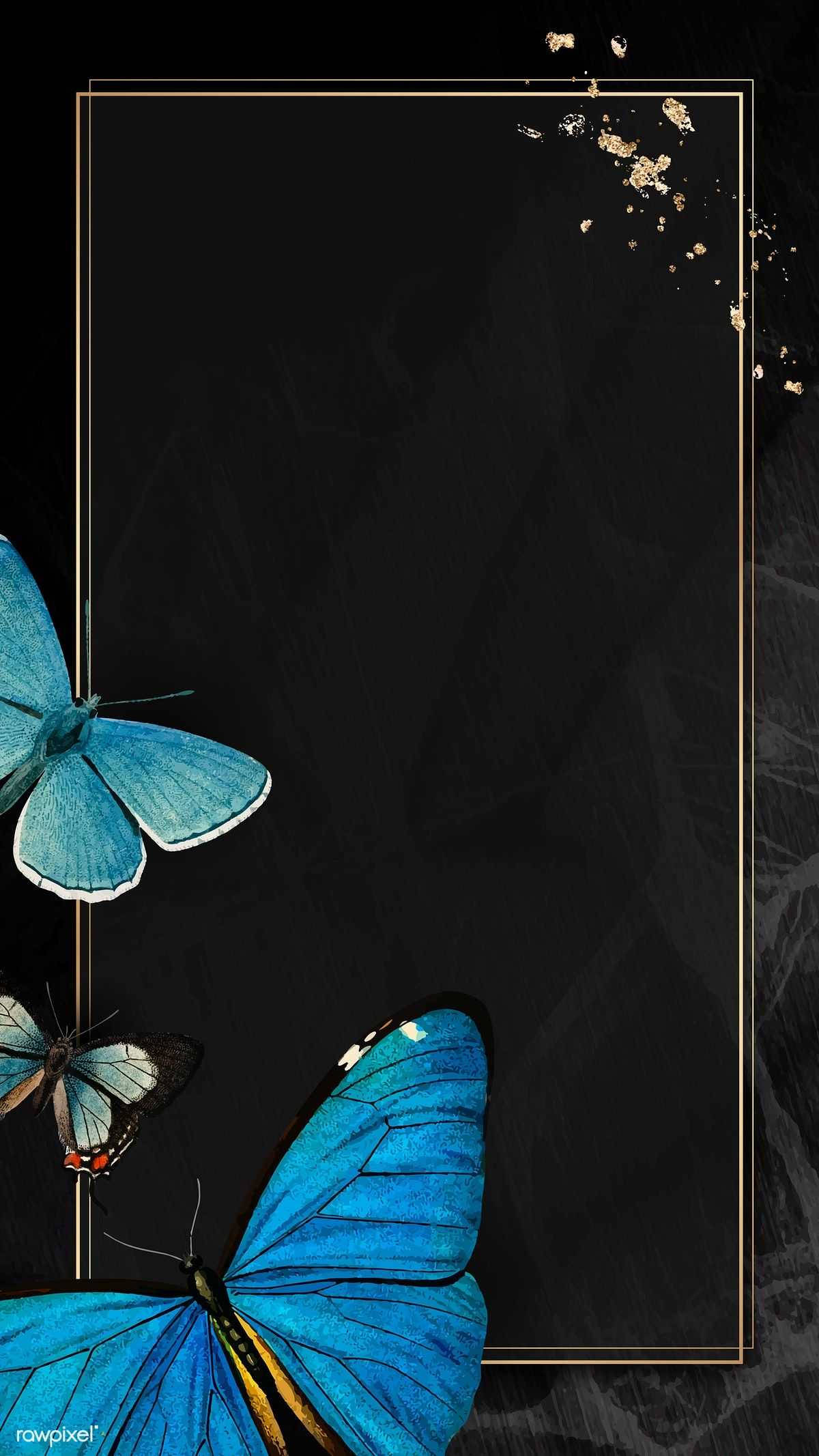 Sort sommerfugl æstetik Wallpapers