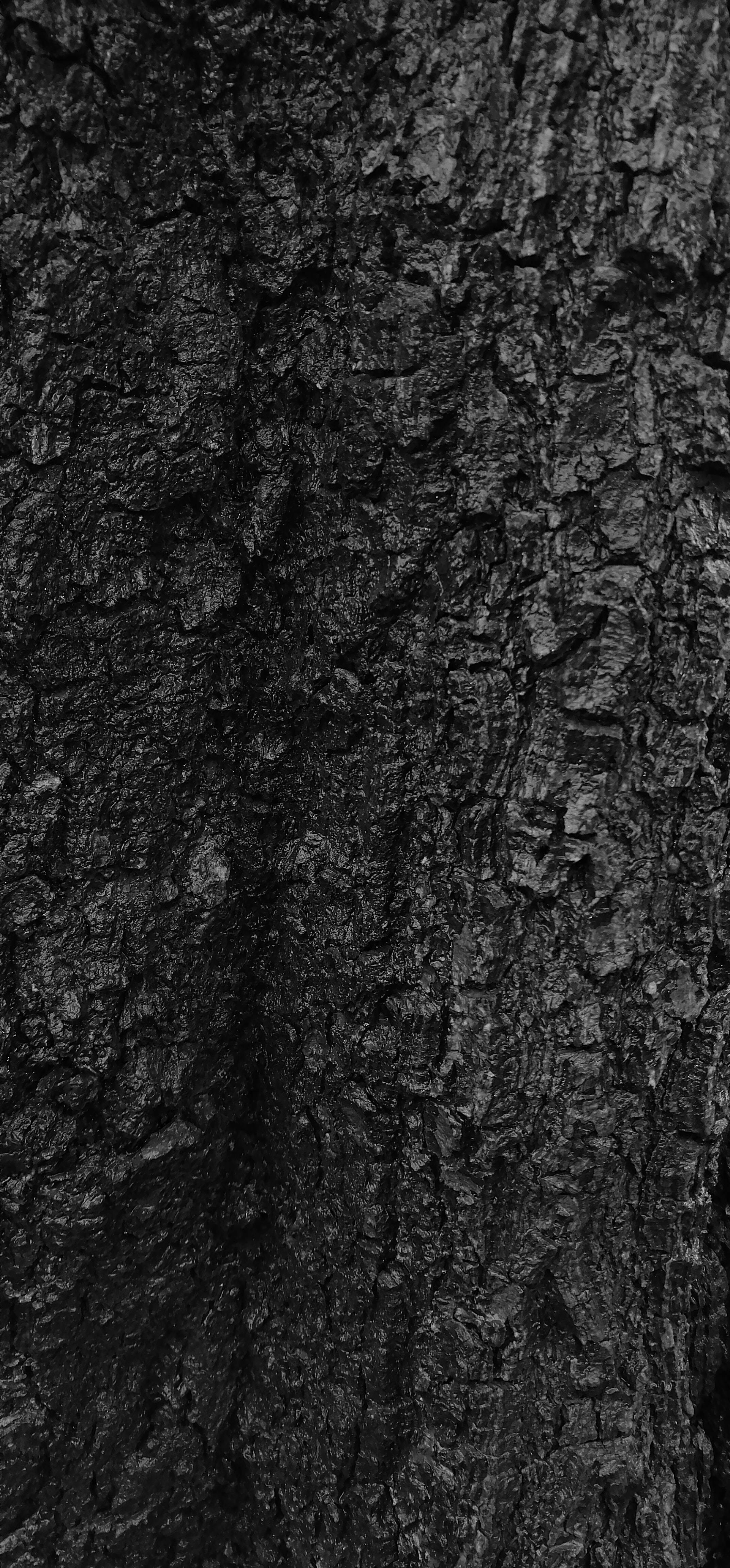 Sort Tekstureret Træbark Wallpapers