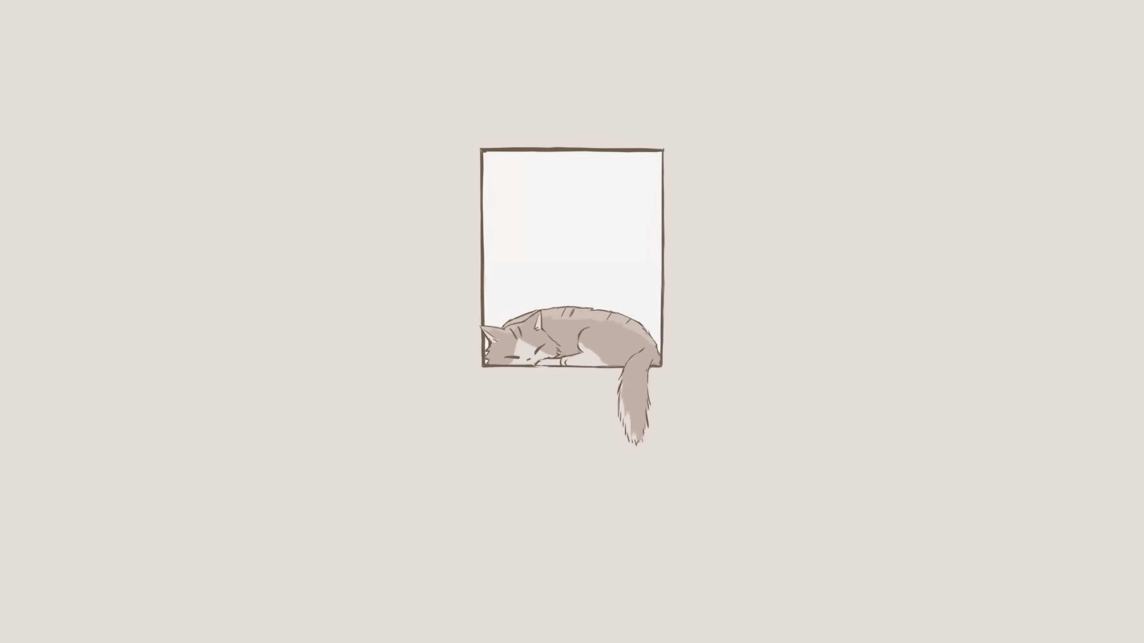 Sovende kat minimalistisk æstetisk bærbar Wallpapers
