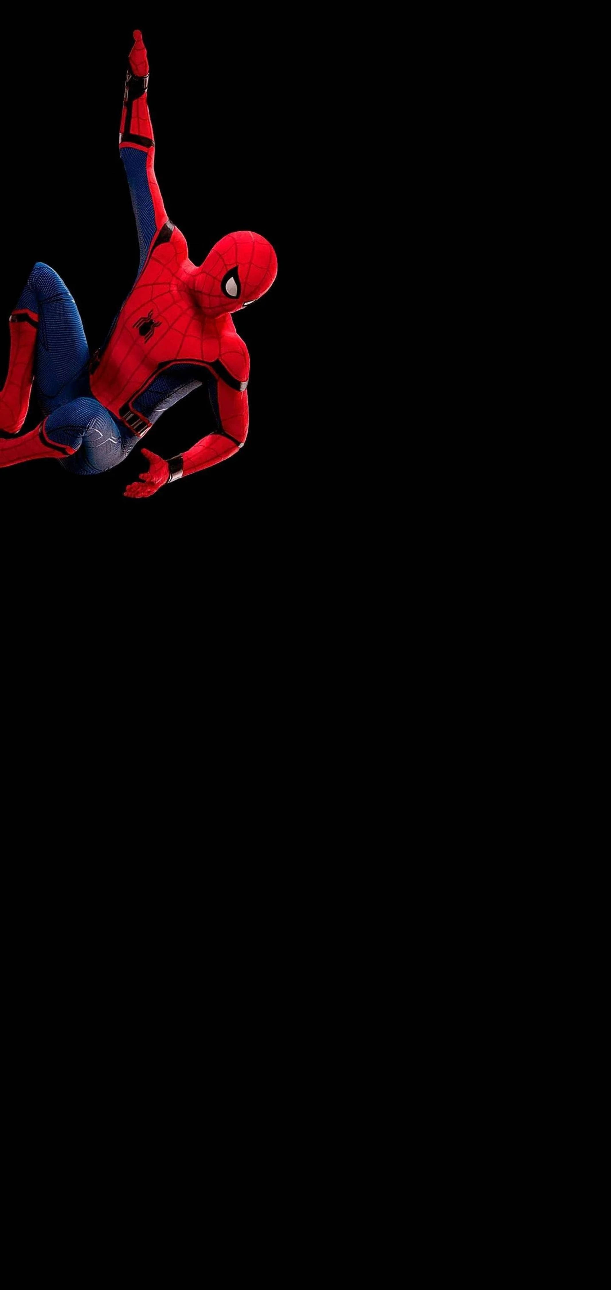 Spiderman på sort punch hole 4K Wallpapers
