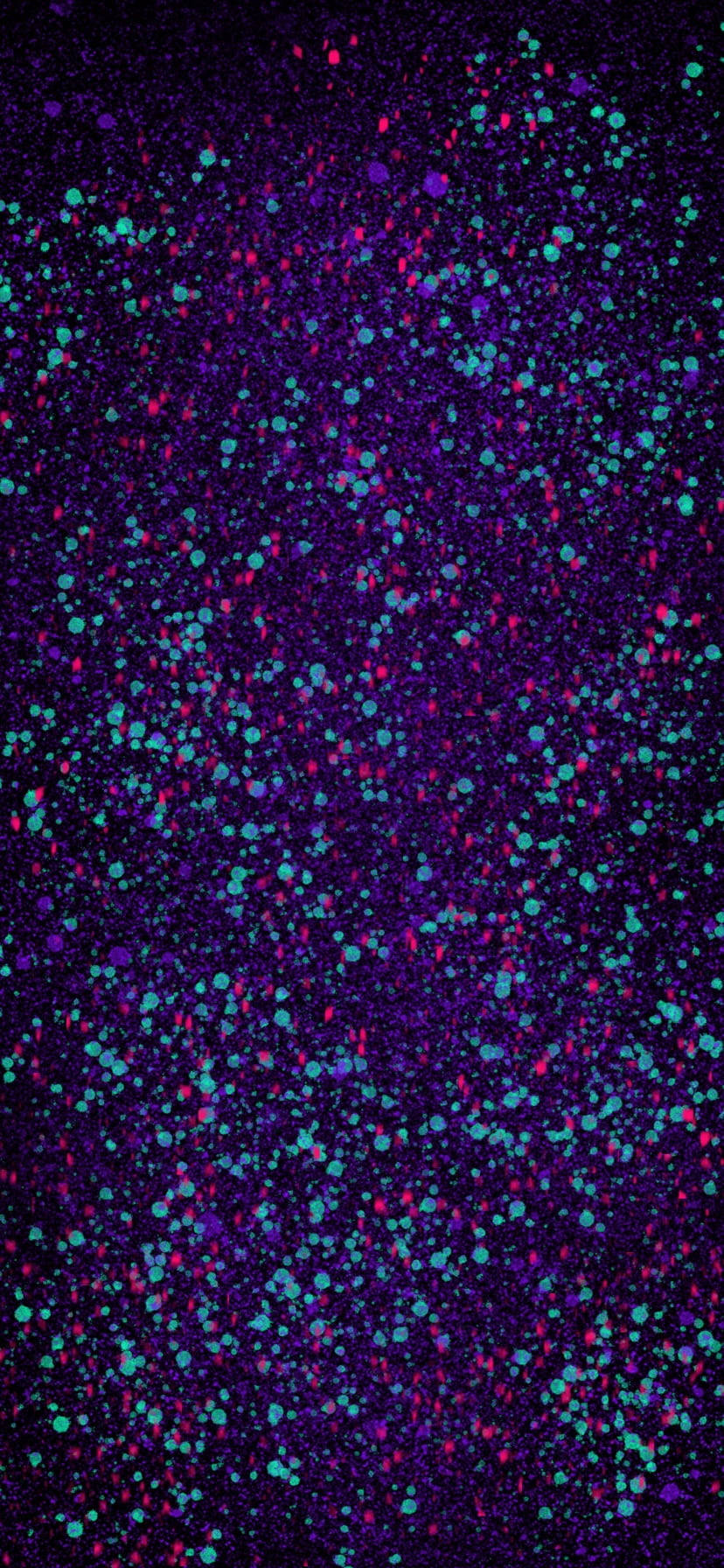 Splatter af grøn, rød og violet maling Wallpapers