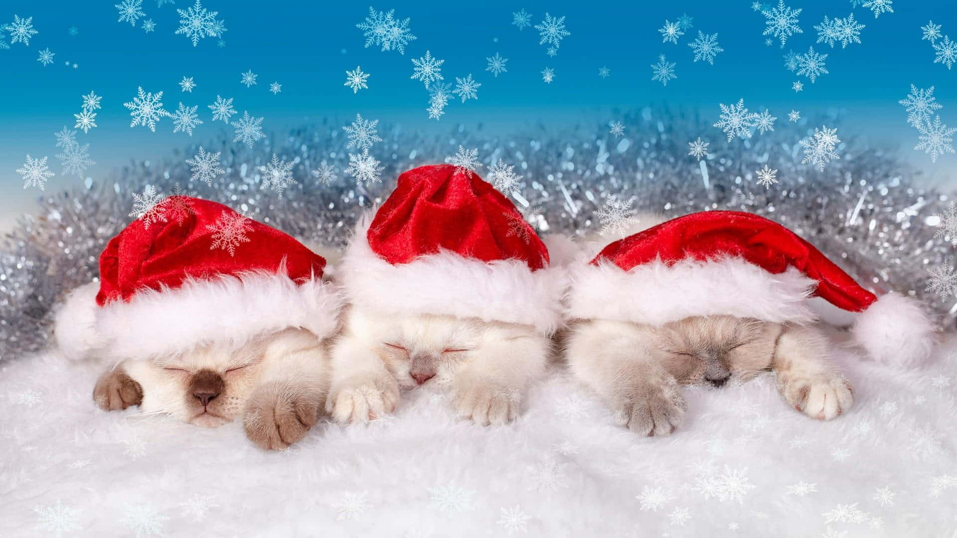 Spred juleglæde med denne søde, æstetiske julescene. Wallpapers