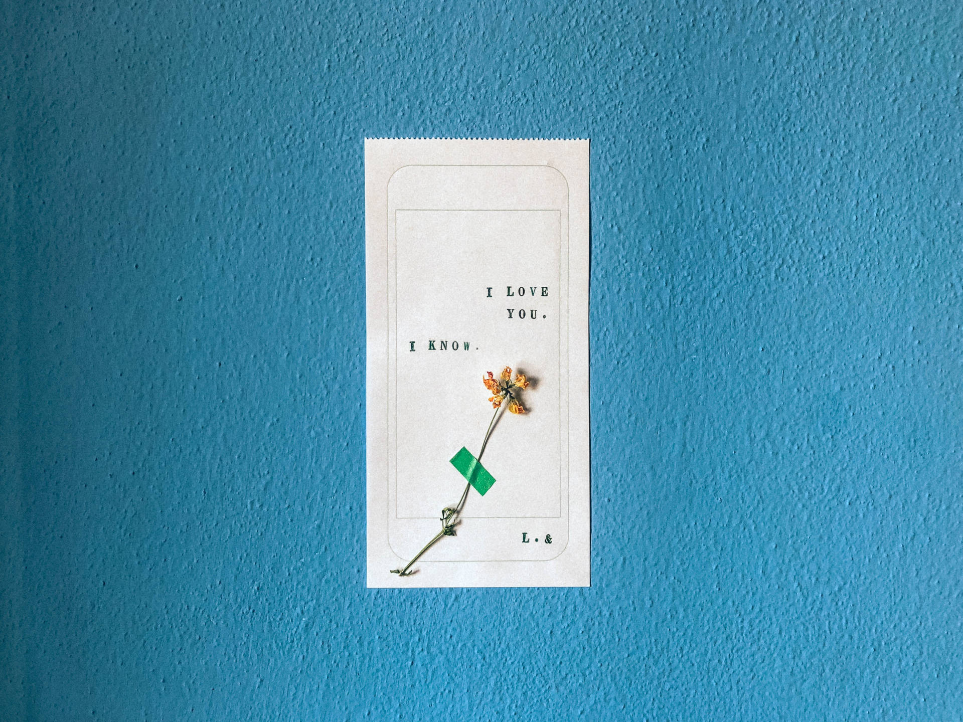 Minimalistisk tegning af en telefonsamtale, der siger "Jeg elsker dig" og "Jeg ved det" med en tørret blomst tapet fast på blå baggrund. — Kærlighed Wallpapers