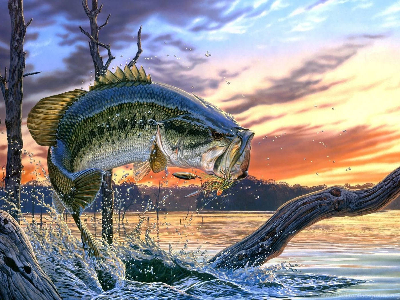Springende stor cool fisk Wallpapers